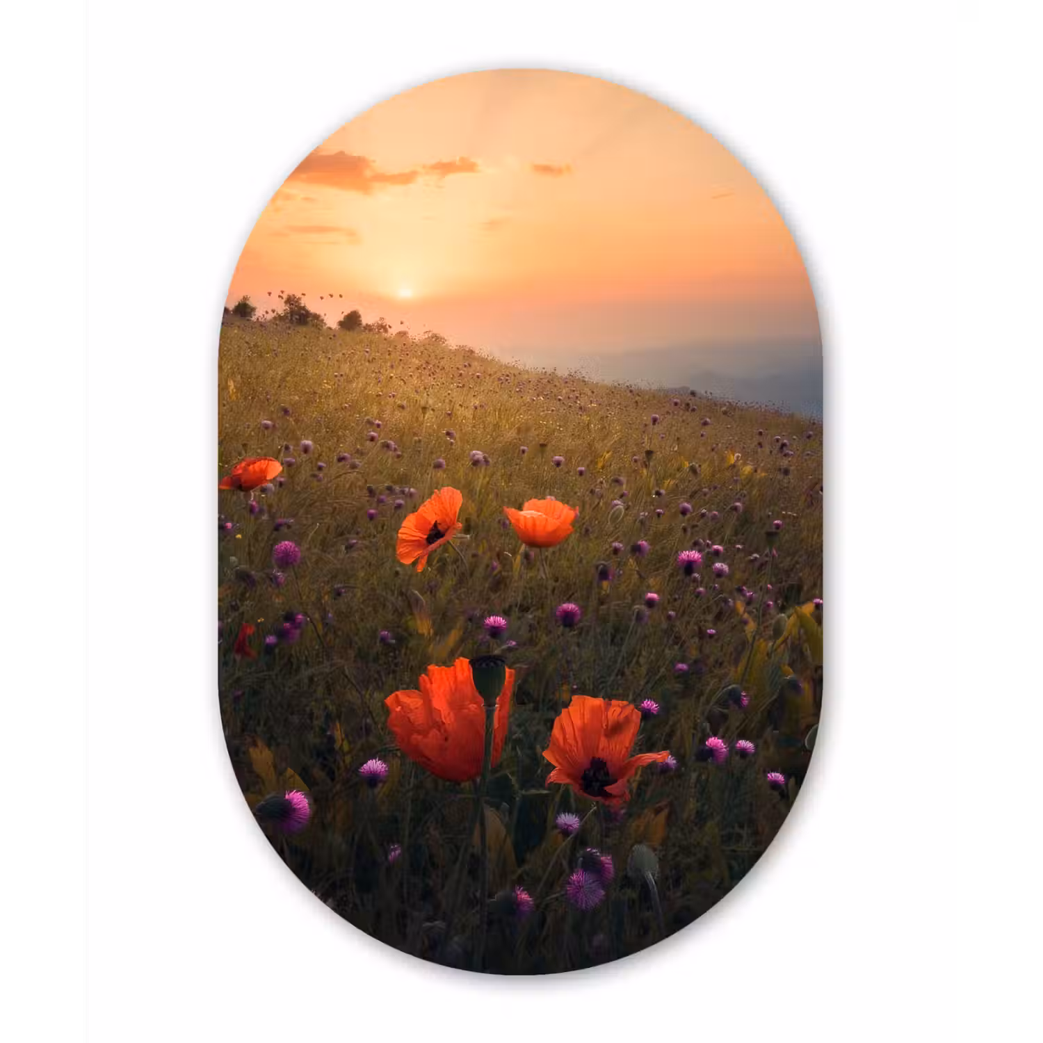 Bloemenveld - Gras - Bloemen - Planten - Zonsondergang - Oranje Wandcirkel Ovaal Forex klein -3d