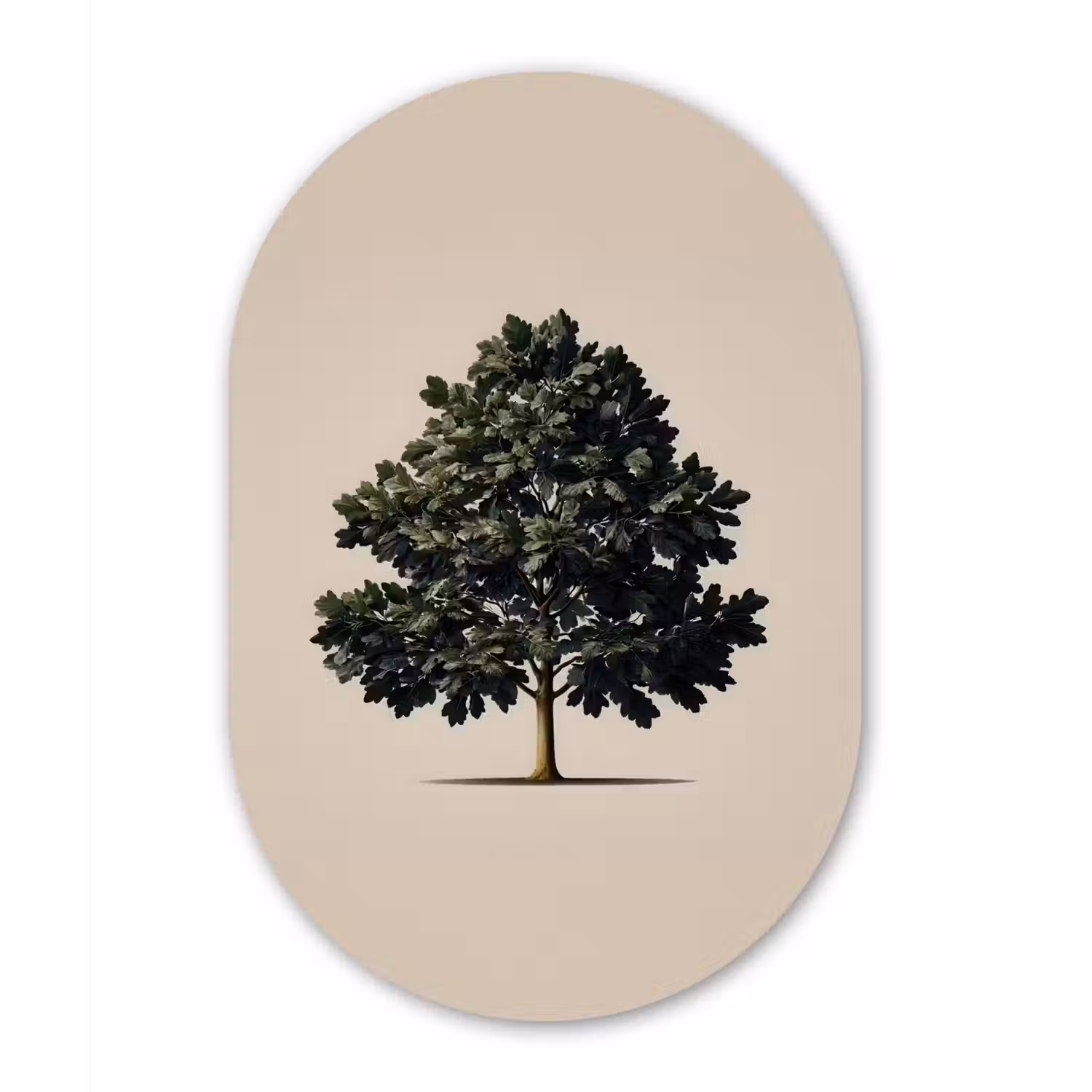 Eikenboom - Schaduw - Egaal Wandcirkel Ovaal Forex klein -3d
