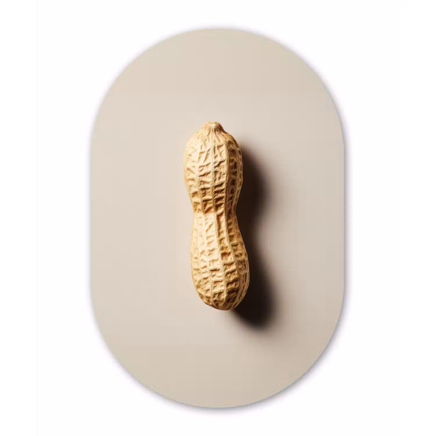 Pinda - Ruw - Beige Wandcirkel Ovaal Forex klein -3d