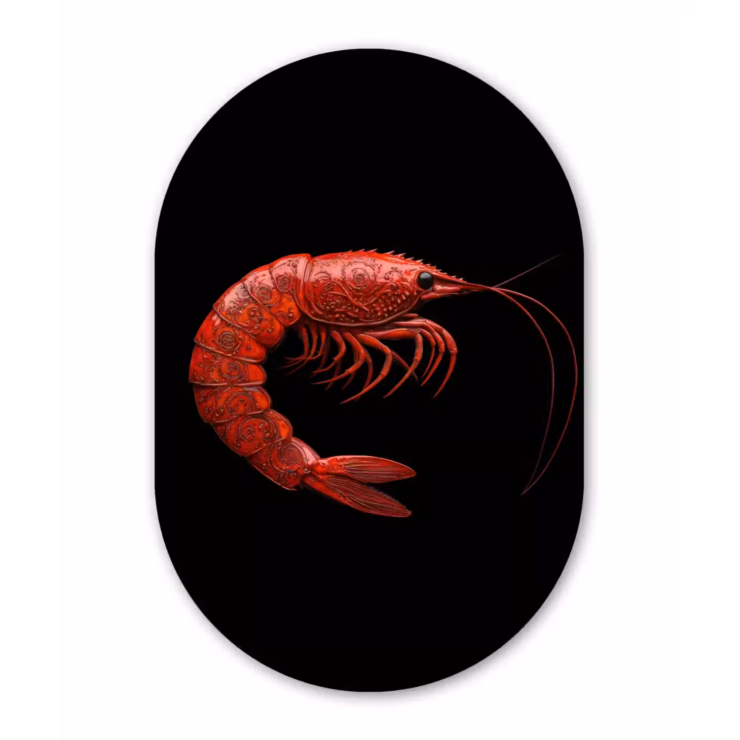 Garnaal - Rood - Dieren Wandcirkel Ovaal Forex klein -3d