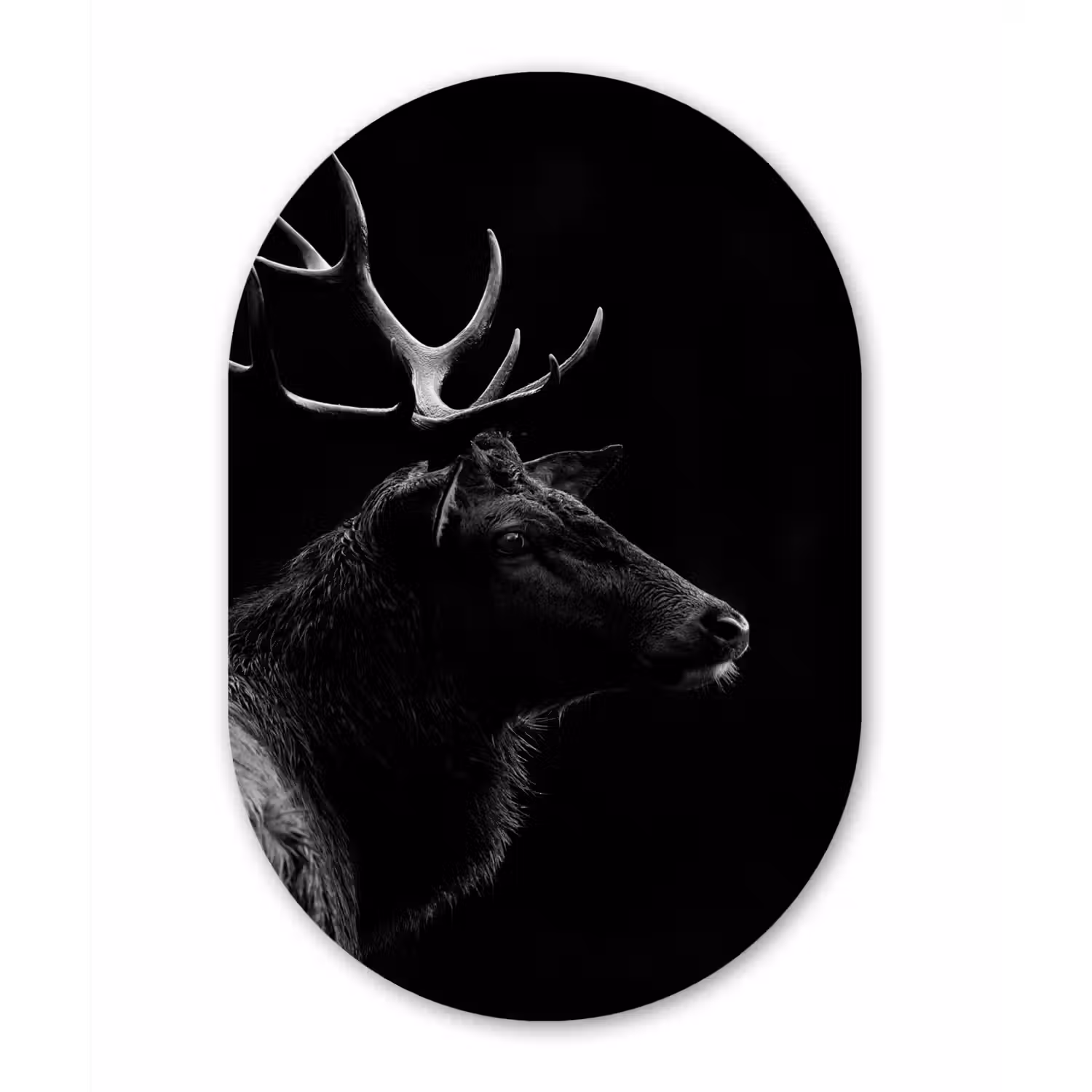 Hert - Zwart - Portret - Gewei - Dieren Wandcirkel Ovaal Forex klein -3d