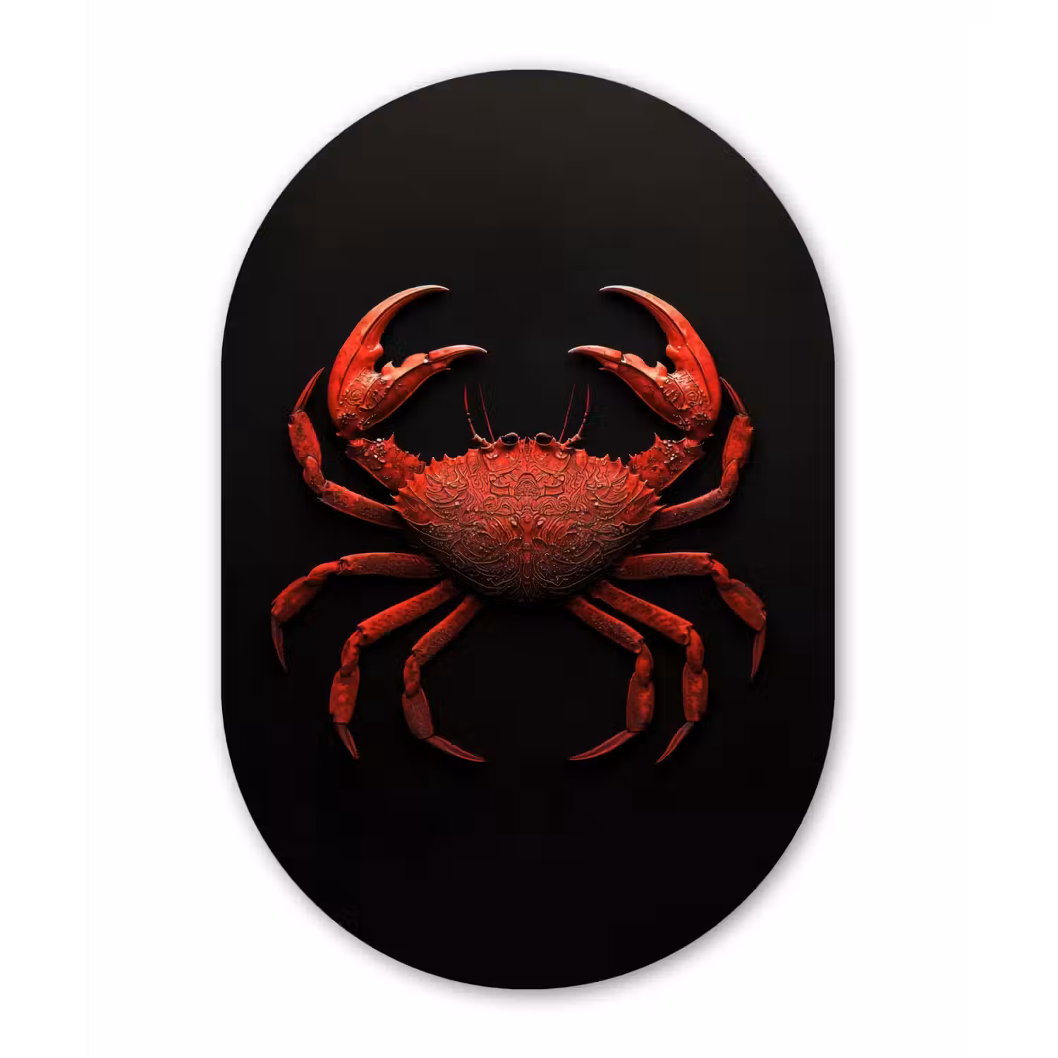 Krab - Rood - Vissen - Schaaldieren Wandcirkel Ovaal Forex klein -3d