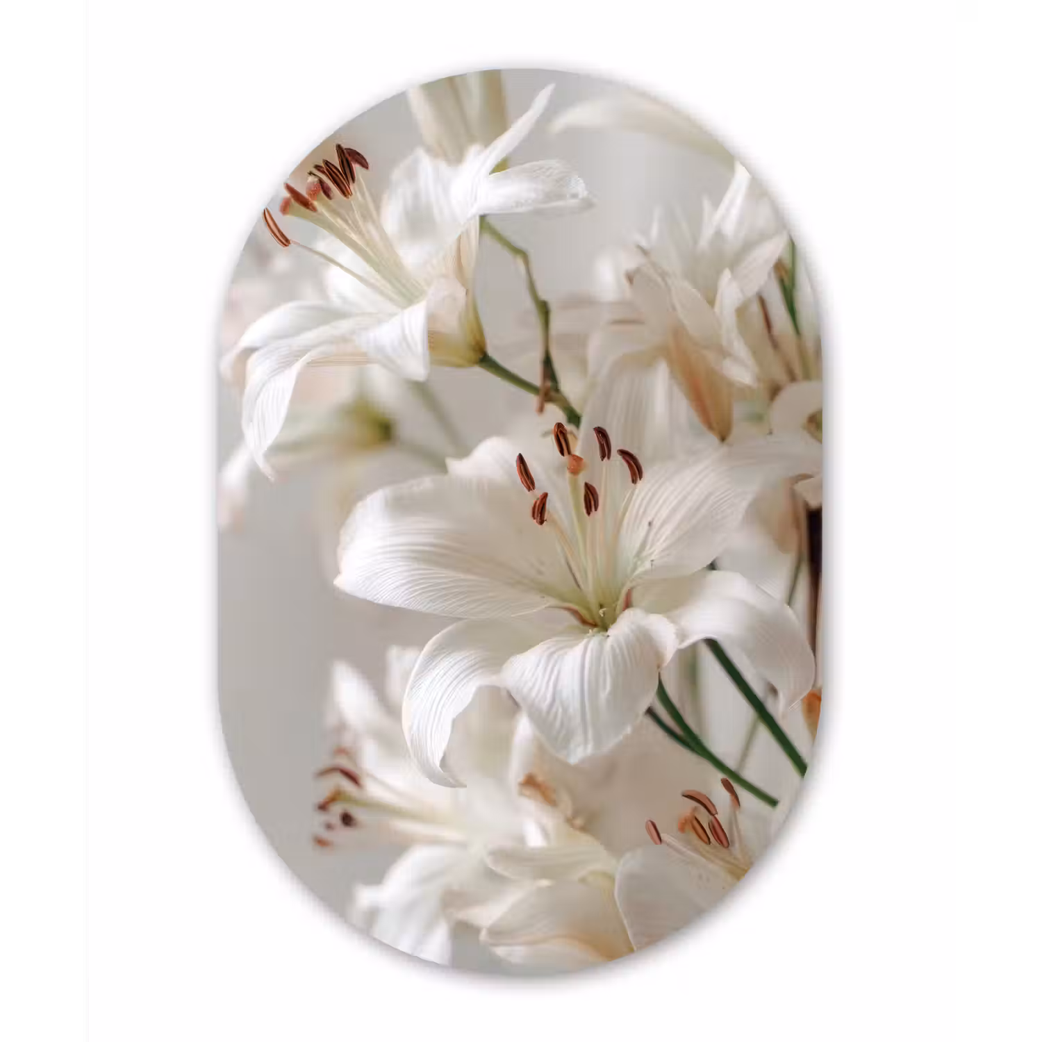 Lelies - Boekte - Wit - Meeldraden Wandcirkel Ovaal Forex klein -3d