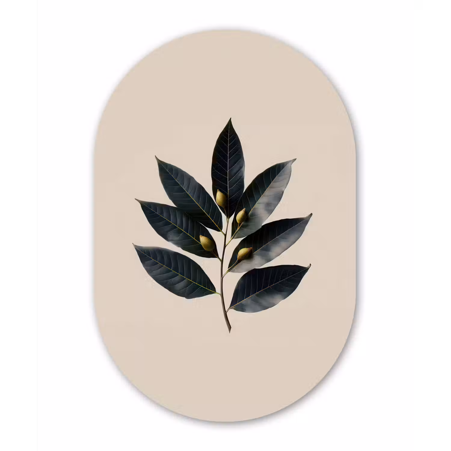 Laurierbladeren - Bloemknoppen - subtiel Wandcirkel Ovaal Forex klein -3d