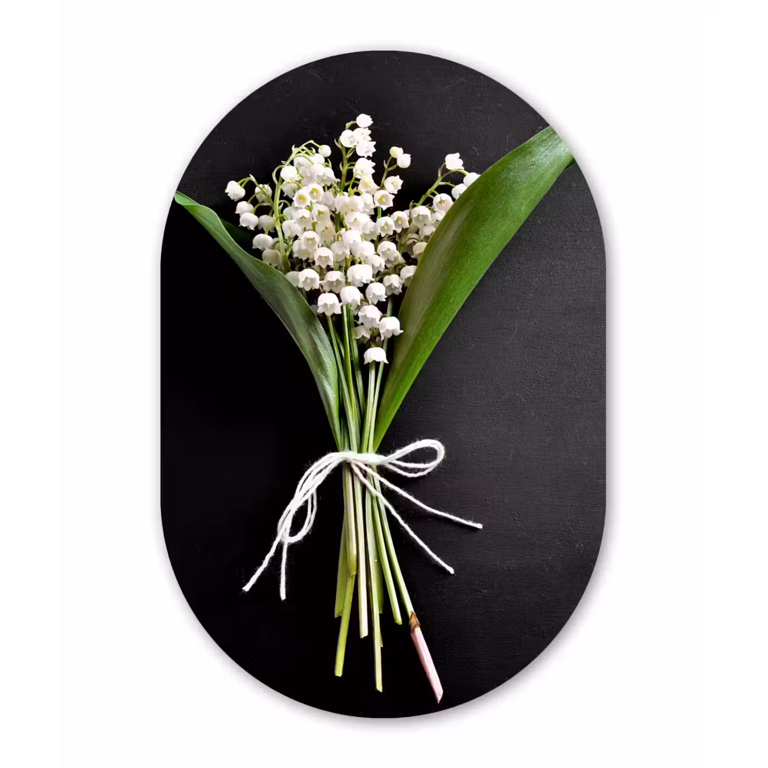 Lelietjes van dalen - Bloemen - Stilleven - Flora Wandcirkel Ovaal Forex klein -3d
