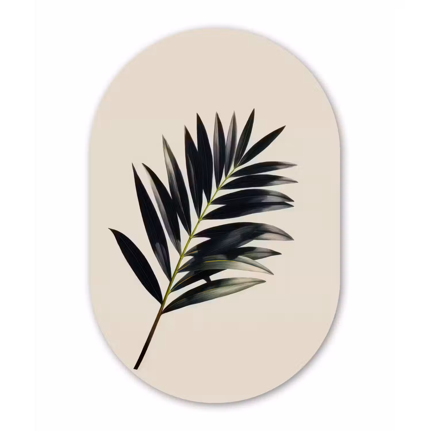 Palmblad - Subtiel - Groen - beige Wandcirkel Ovaal Forex klein -3d