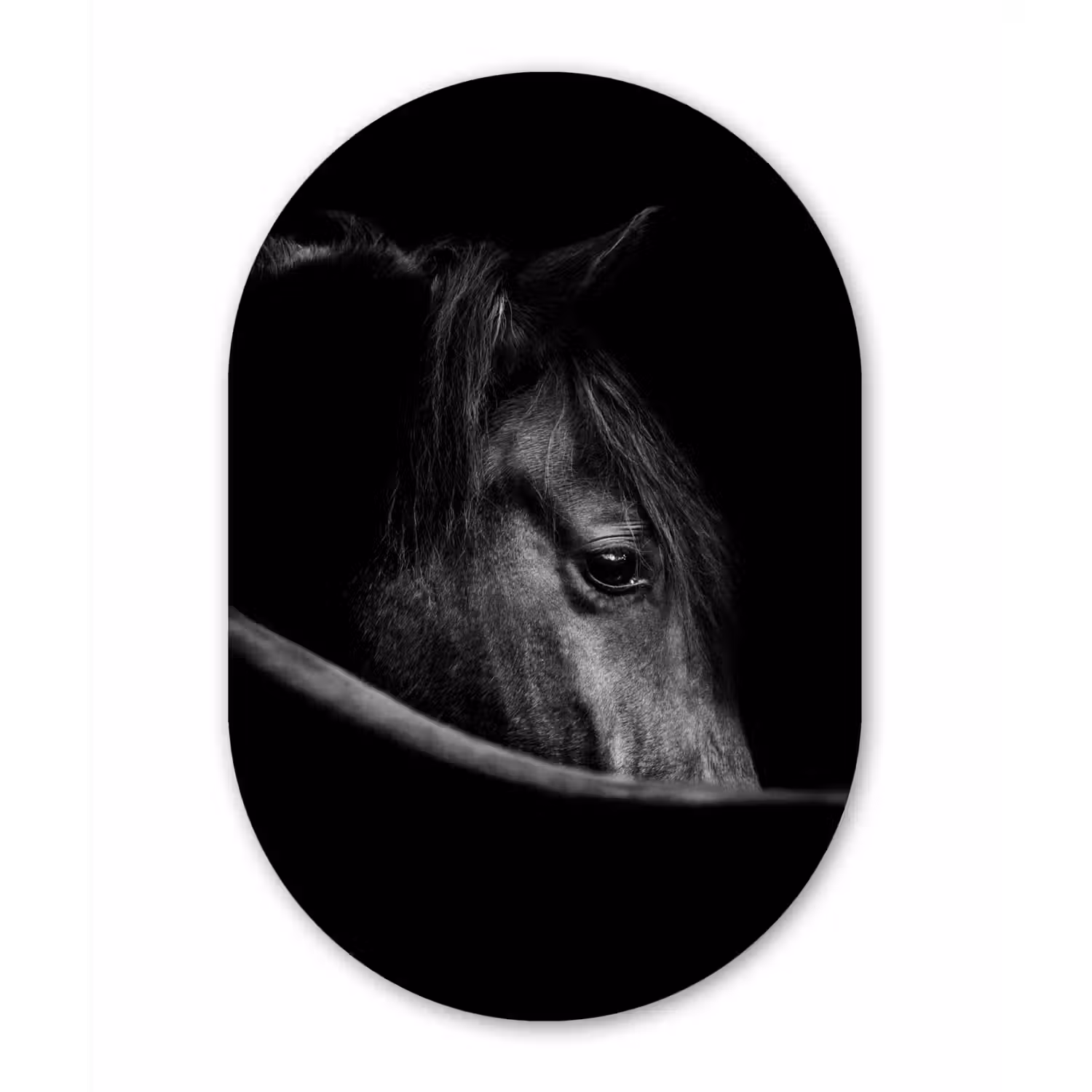 Paarden - Portret - Zwart - Dieren Wandcirkel Ovaal Forex klein -3d