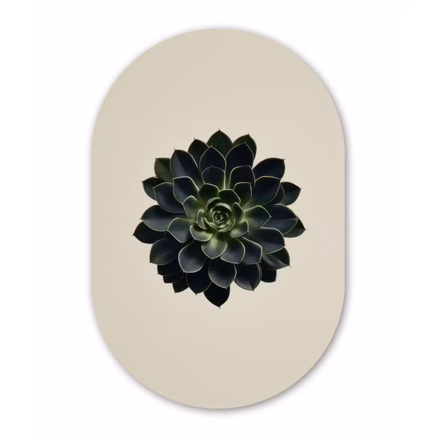 Rozet - Cirkelvormig - Donkergroen Wandcirkel Ovaal Forex klein -3d