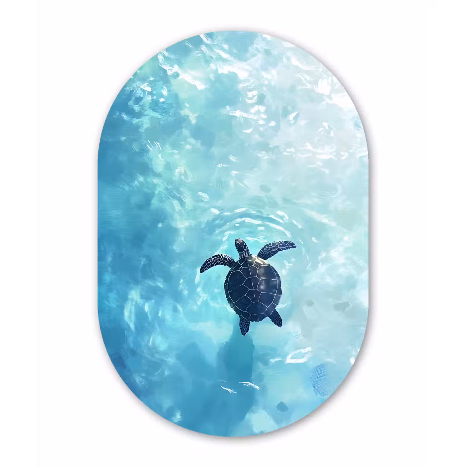 Schildpad - Zee - Blauw - Schittering Wandcirkel Ovaal Forex klein -3d