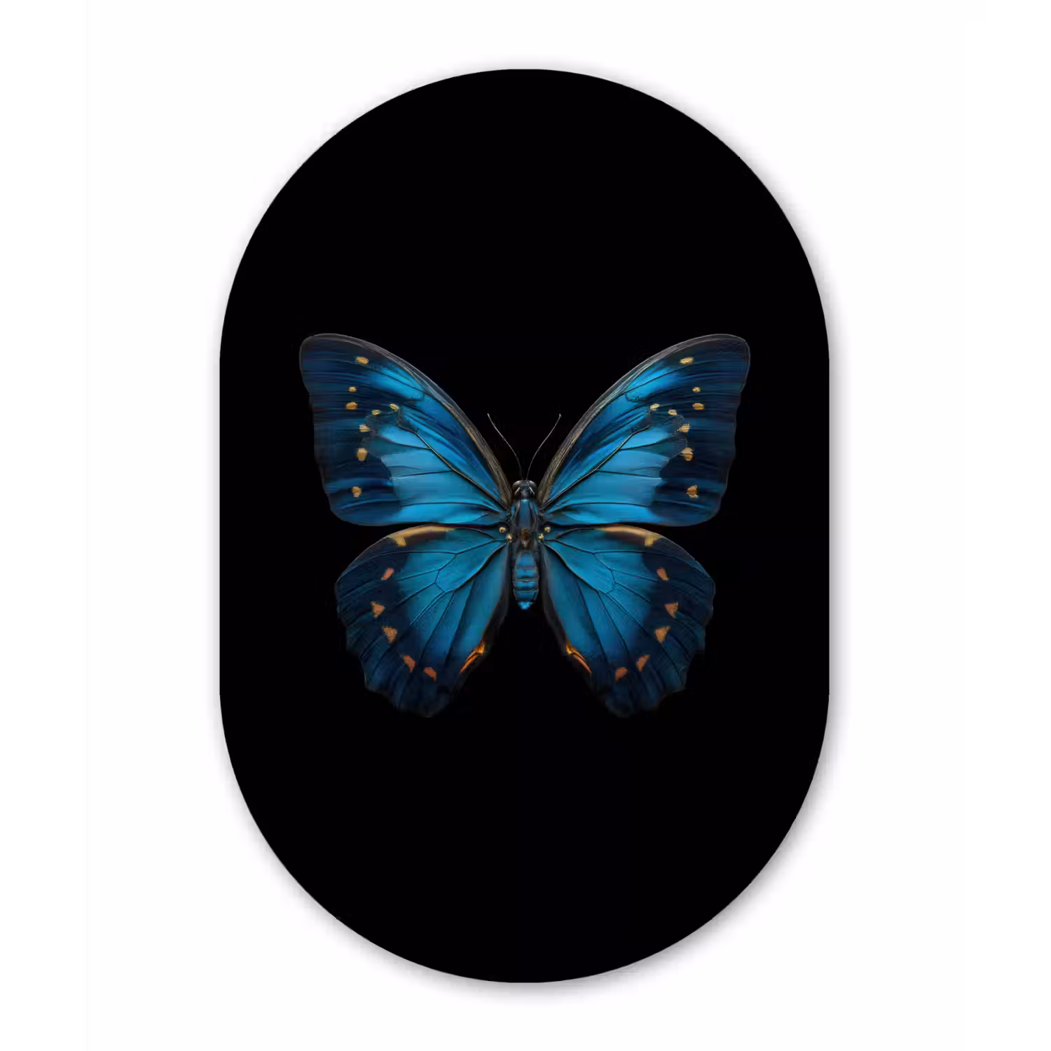 Vlinder - Blauw - Contrast Wandcirkel Ovaal Forex klein -3d