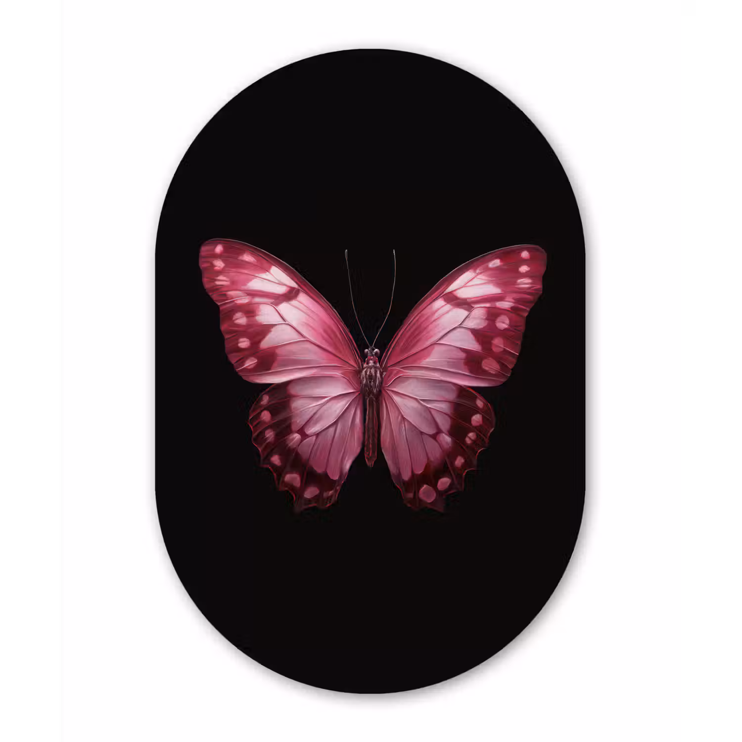 Vlinder - Fuchsia - Grafisch Wandcirkel Ovaal Forex klein -3d