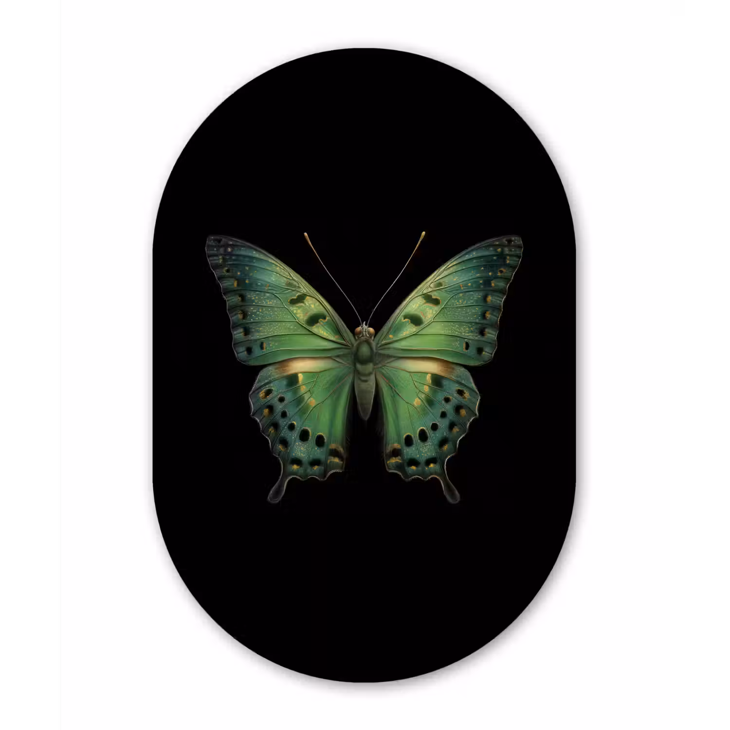 Vlinder - Groen - Diepte Wandcirkel Ovaal Forex klein -3d