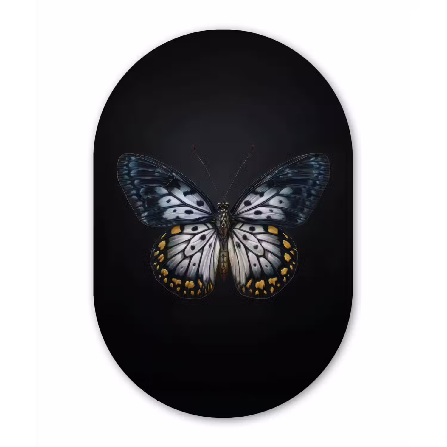 Vlinder - Monochroom - Balans Wandcirkel Ovaal Forex klein -3d
