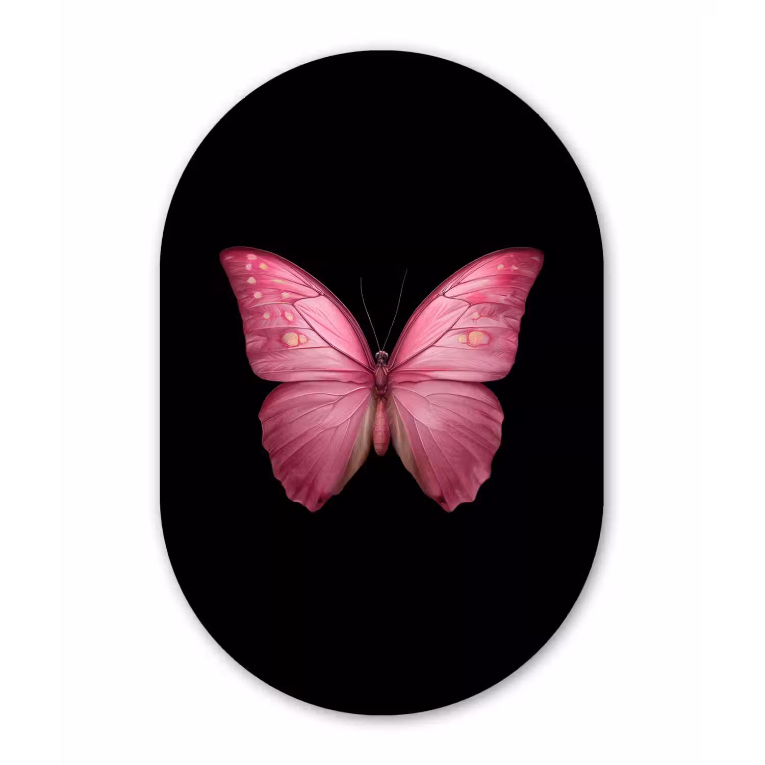 Vlinder - roze - Elegant Wandcirkel Ovaal Forex klein -3d