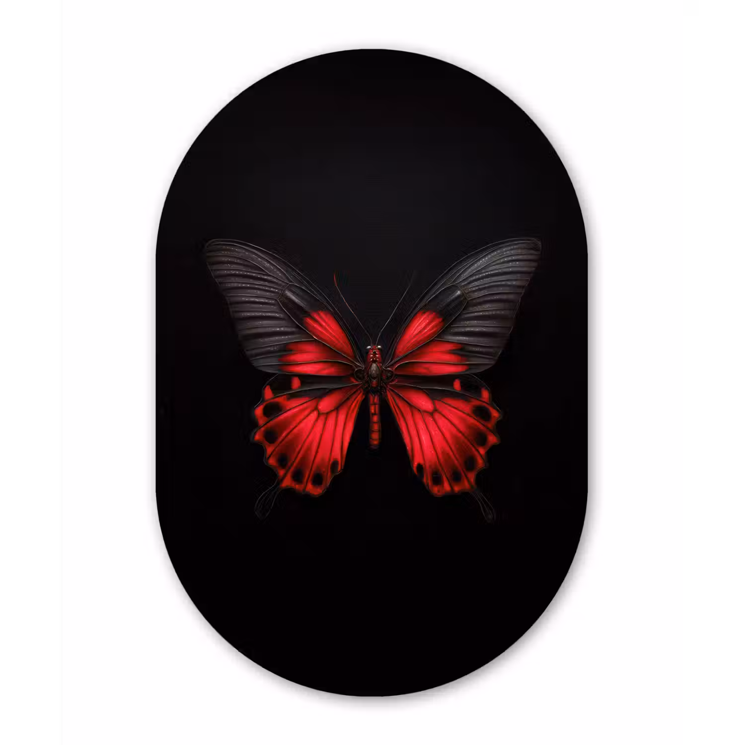 Vlinder - Rood - Contrast Wandcirkel Ovaal Forex klein -3d
