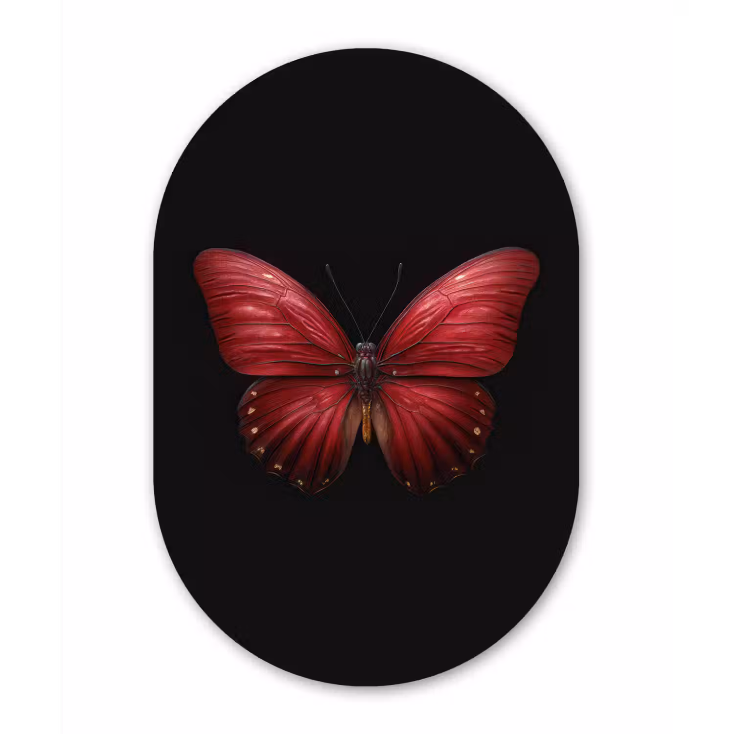Vlinder - Rood - Minimalistisch Wandcirkel Ovaal Forex klein -3d