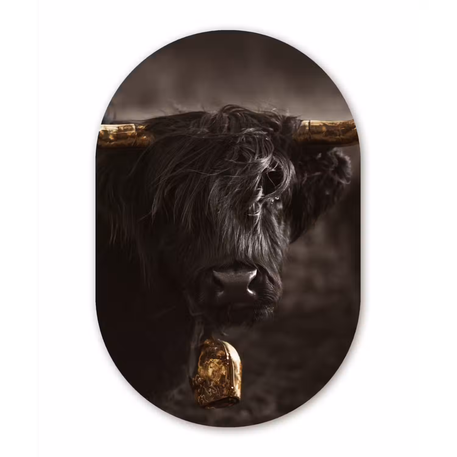 Schotse hooglander - Goud - Koebel - Hoorns - Dieren Wandcirkel Ovaal Forex klein -3d