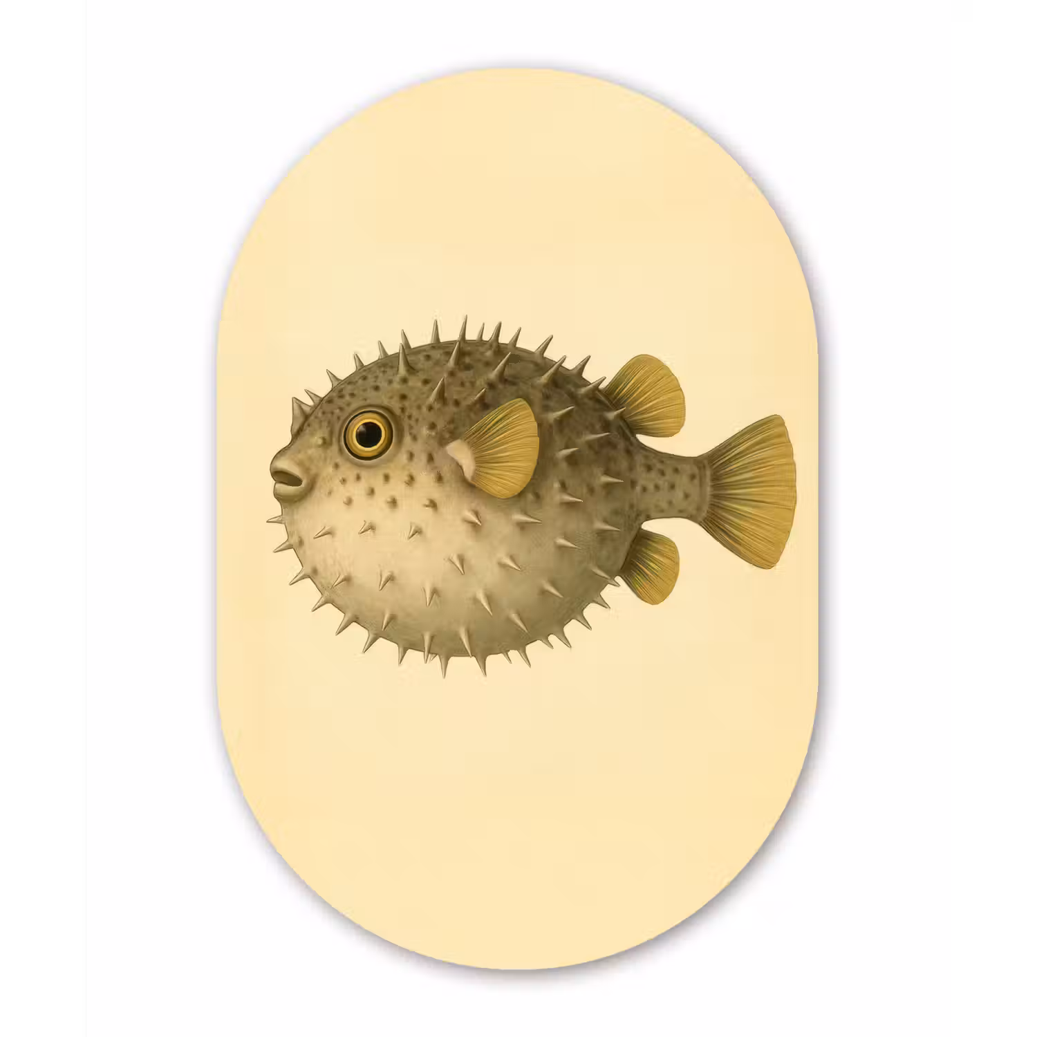 Stekels - Vis - Opgeblazen - Bruin Wandcirkel Ovaal Forex klein -3d