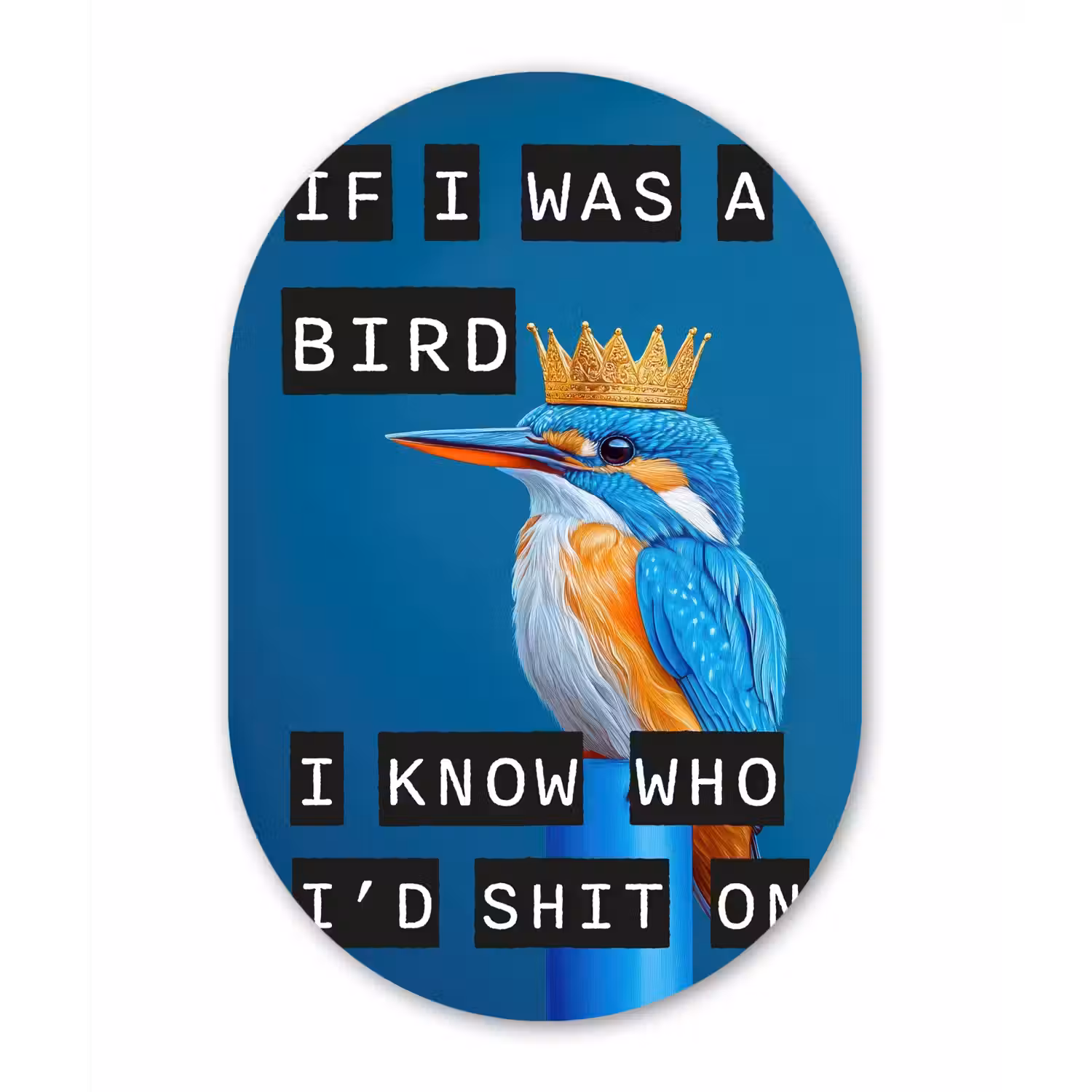 Vogel - Decoratie - Ijsvogel - Blauw Wandcirkel Ovaal Forex klein -3d
