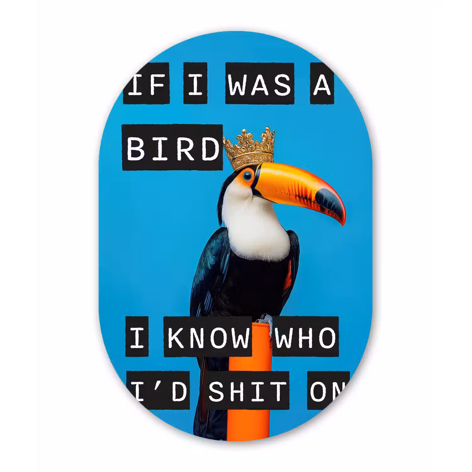 Vogel - Toekan - Blauw - Quotes Wandcirkel Ovaal Forex klein -3d