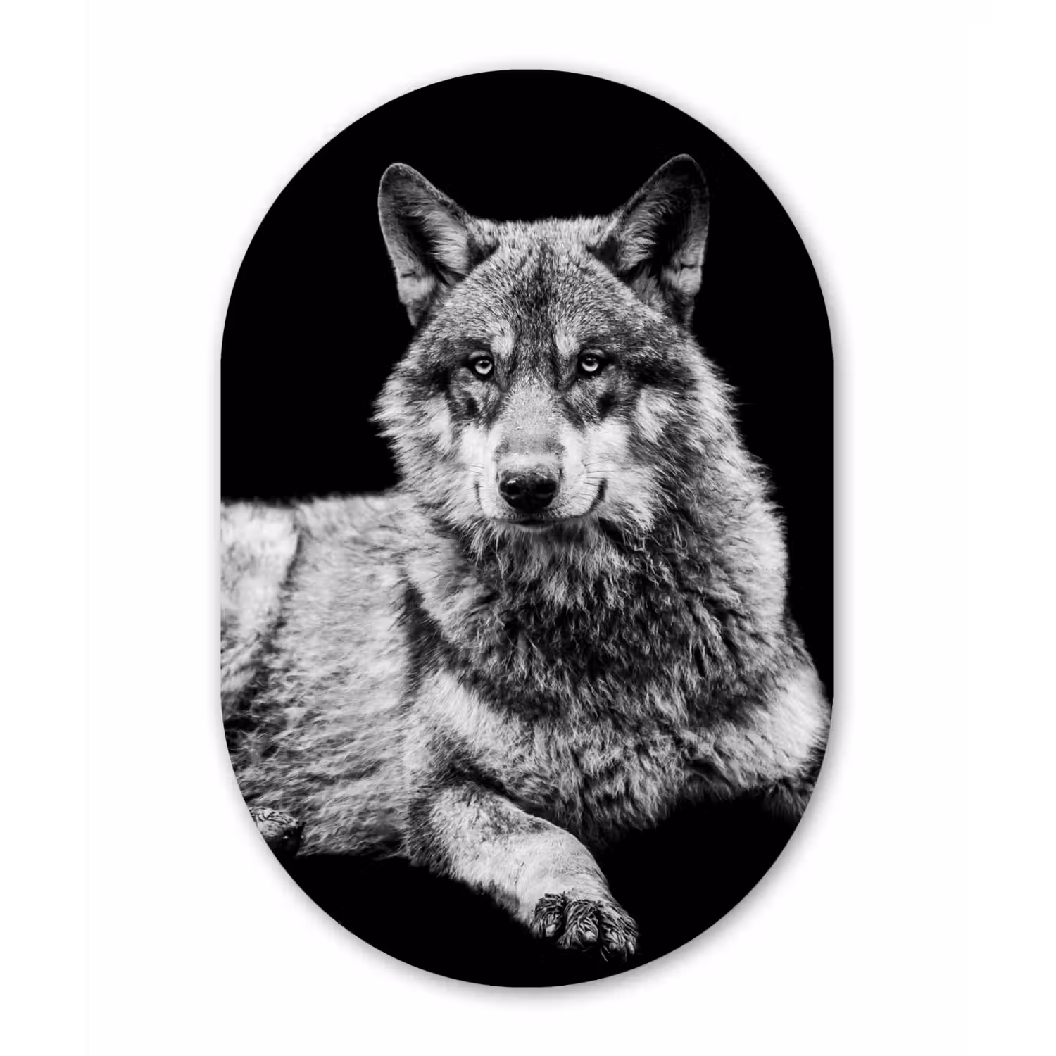 Wilde dieren - Wolf - Zwart - Wit Wandcirkel Ovaal Forex klein -3d
