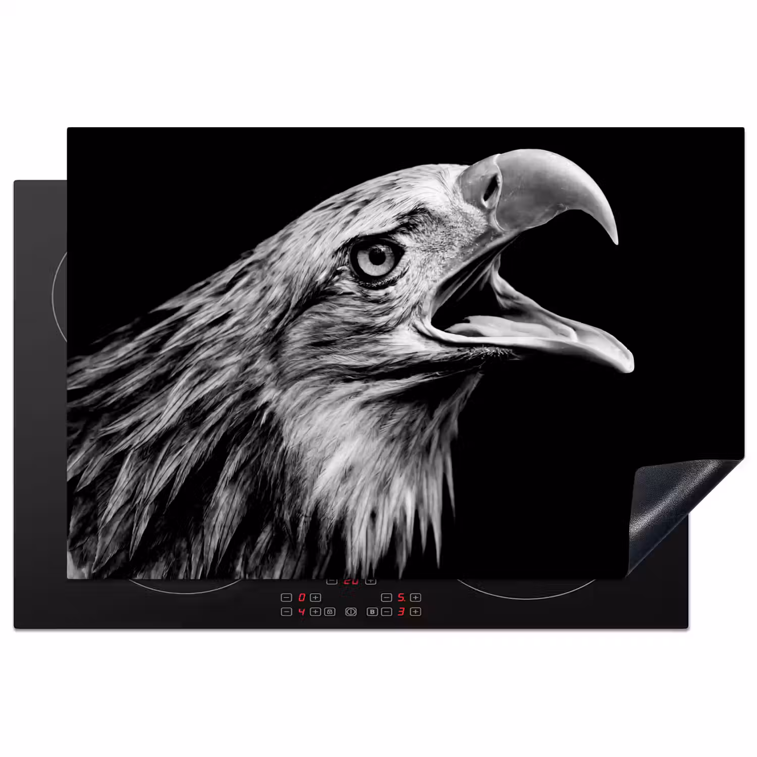 Adelaar - Portret - Roofvogels - Zwart - Wit - Vogel Inductie beschermer vinyl 3mm klein -3d