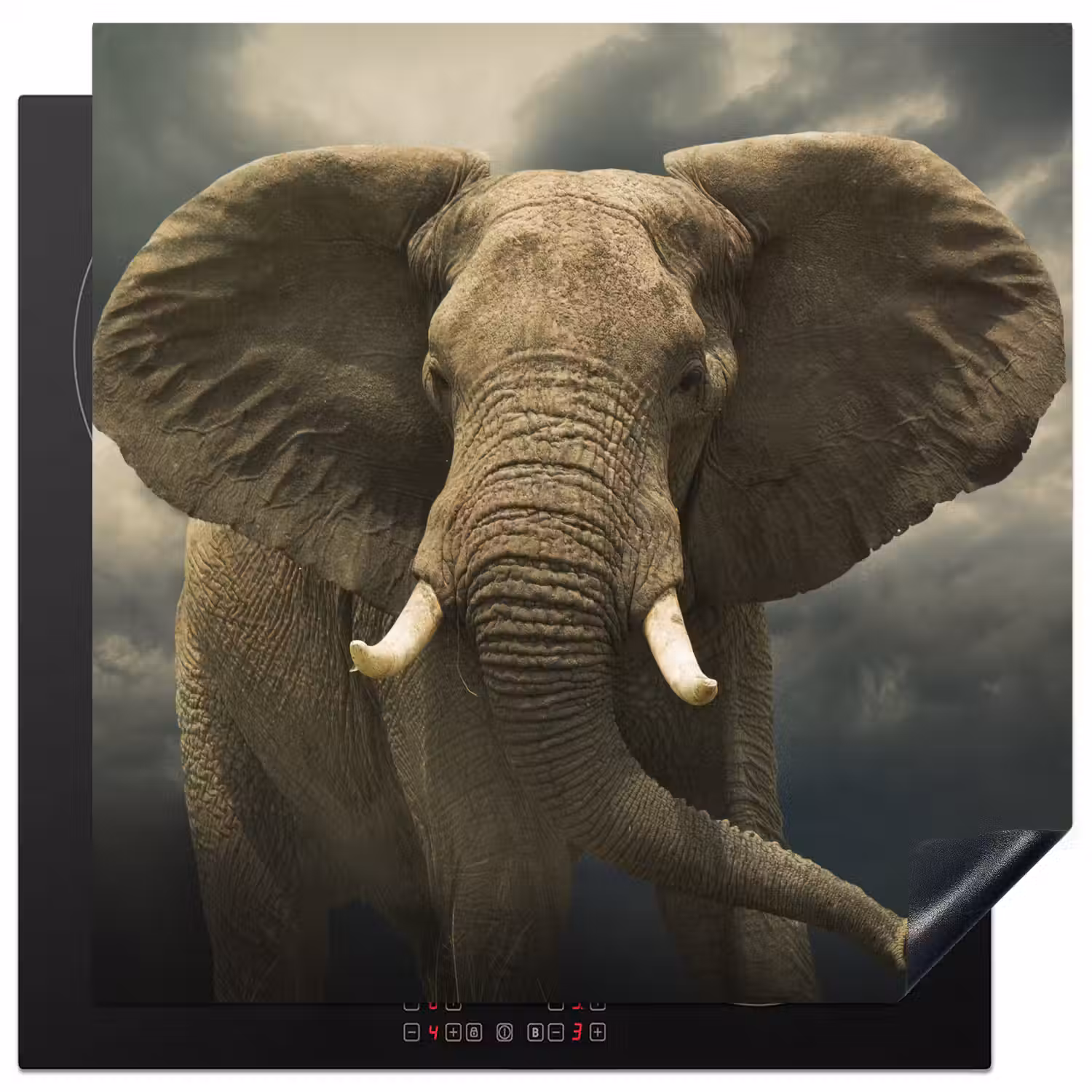 Afrikaanse olifant tegen de donkere wolken Inductie beschermer vinyl 3mm middel -3d