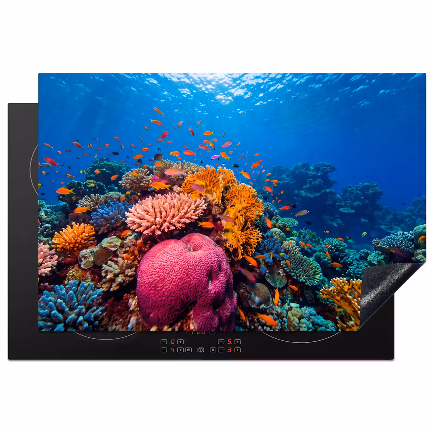 Koraal - Vissen - Oceaan - Natuur - Kleurrijk Inductie beschermer vinyl 3mm klein -3d