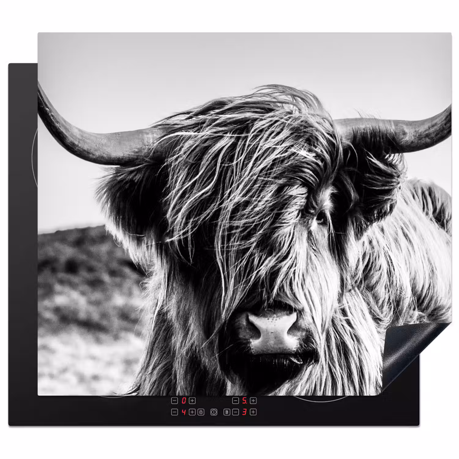 Koe - Schotse hooglander - Zwart - Wit - Dier - Natuur - Wild Inductie beschermer vinyl 3mm middel -3d