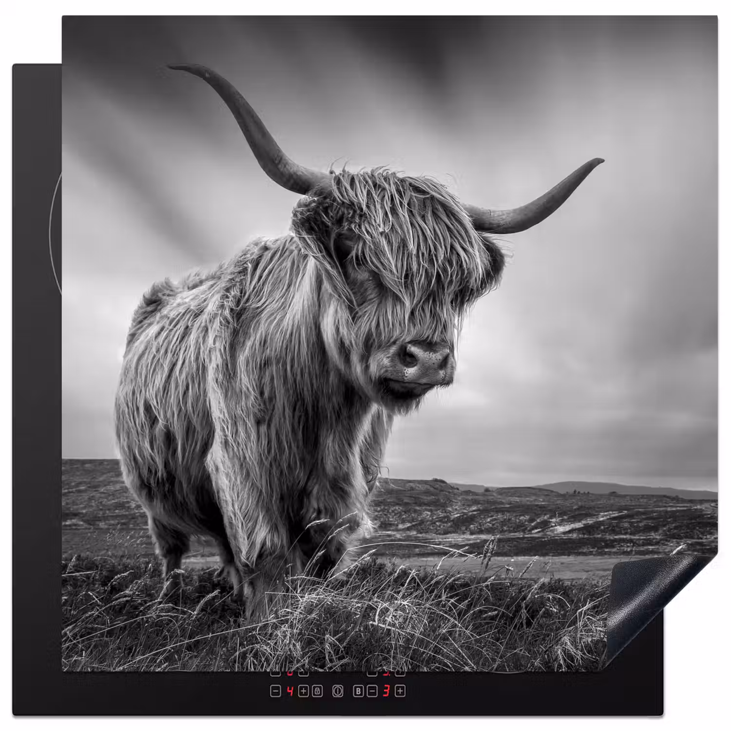 Koeien - Schotse hooglander - Natuur - Dieren - Zwart wit Inductie beschermer vinyl 3mm middel -3d