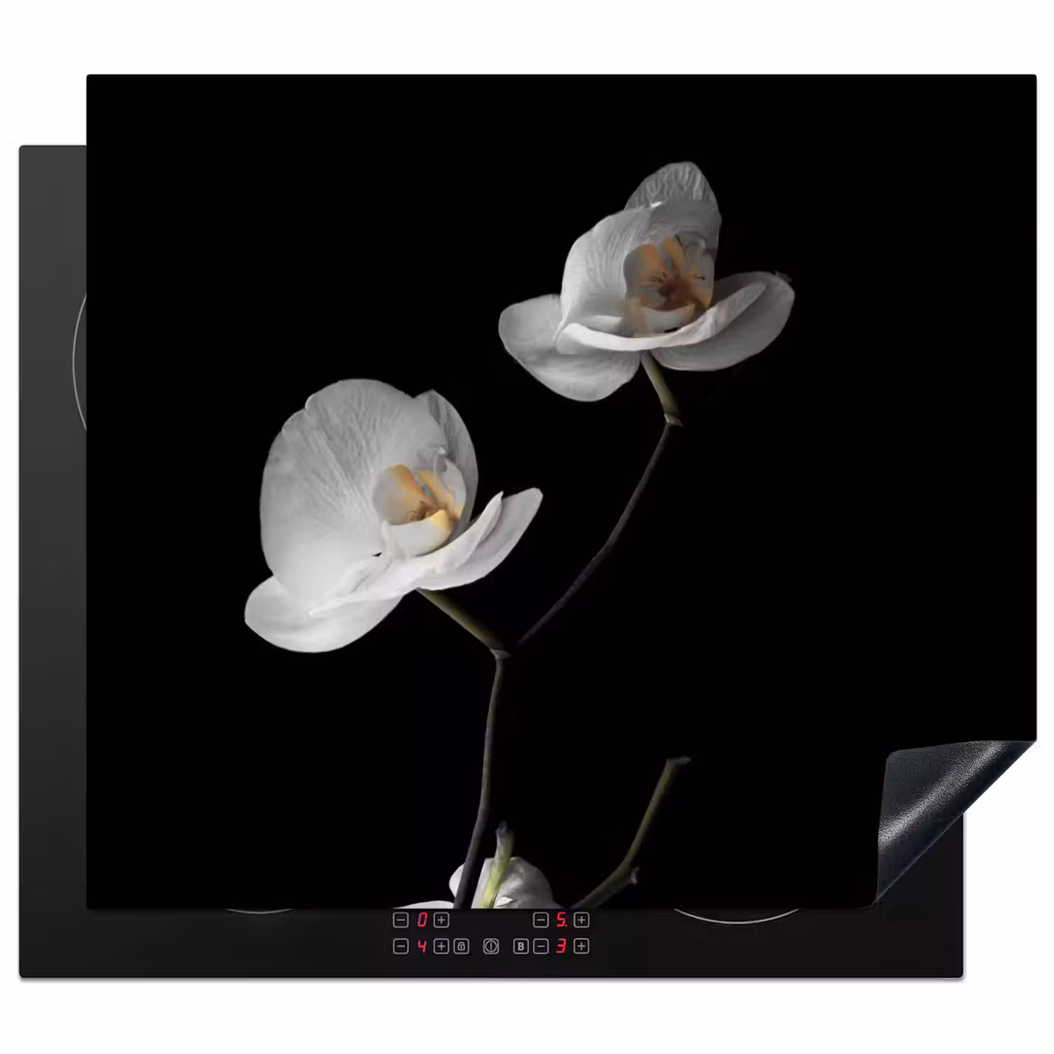 Nachtelijke Orchidee Elegance Inductie beschermer vinyl 3mm middel -3d