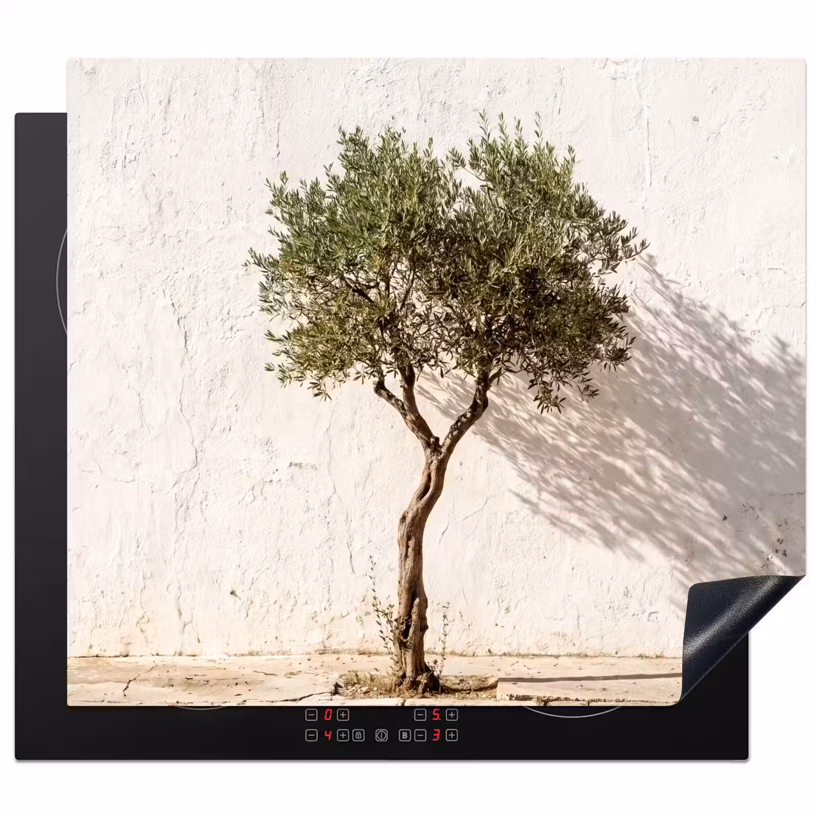 Herdabdeckplatte - Olivenbaum – Wand – weiß - Olijfboom - muur - wit Inductie beschermer vinyl 3mm middel