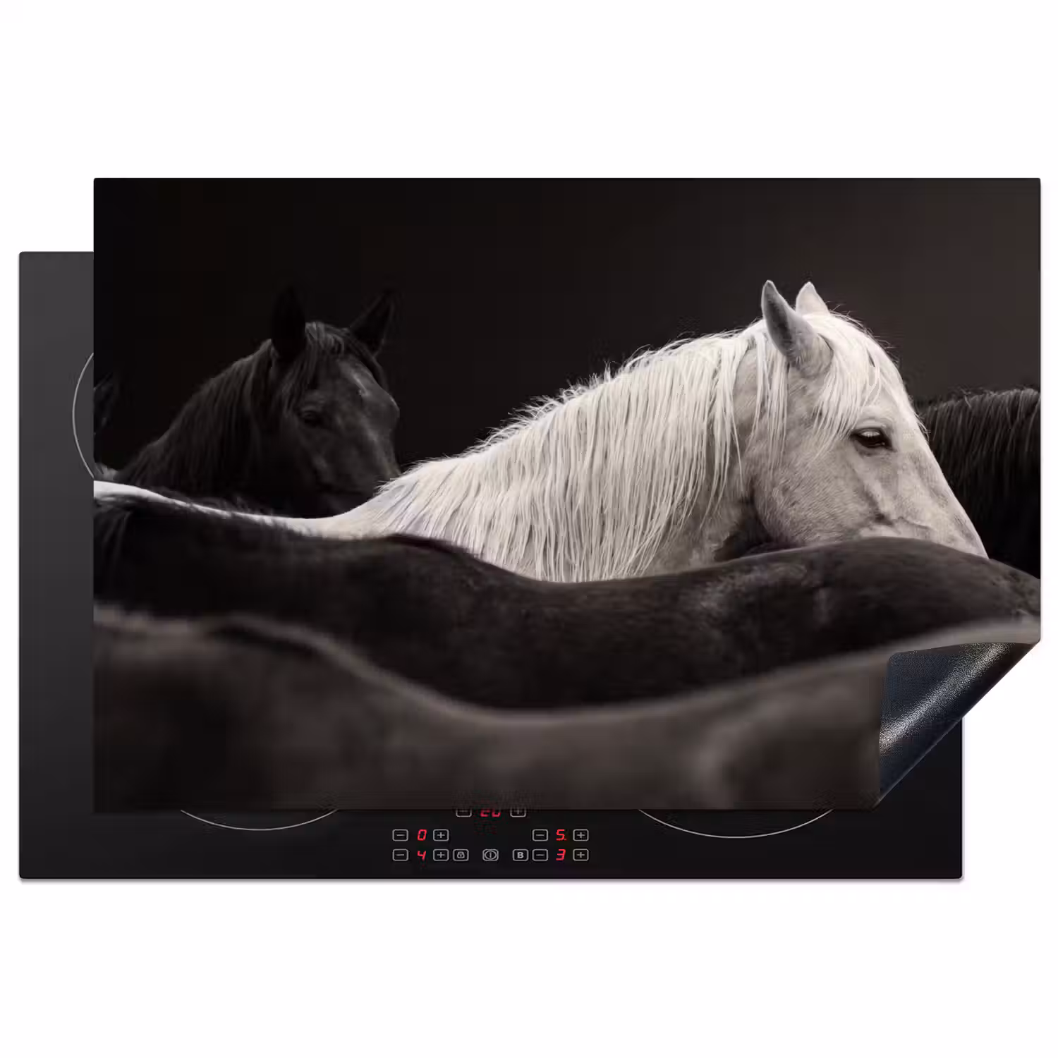 Paarden - Zwart - Wit - Kudde Inductie beschermer vinyl 3mm klein -3d