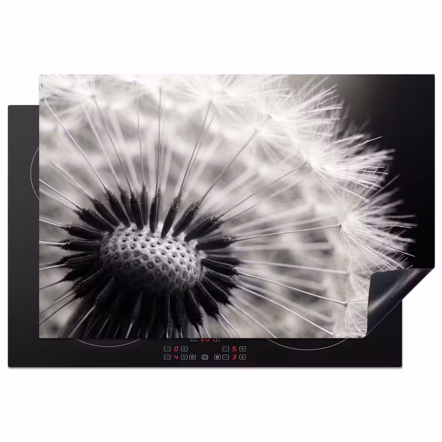 Paardenbloem - Zwart - Wit Inductie beschermer vinyl 3mm klein -3d