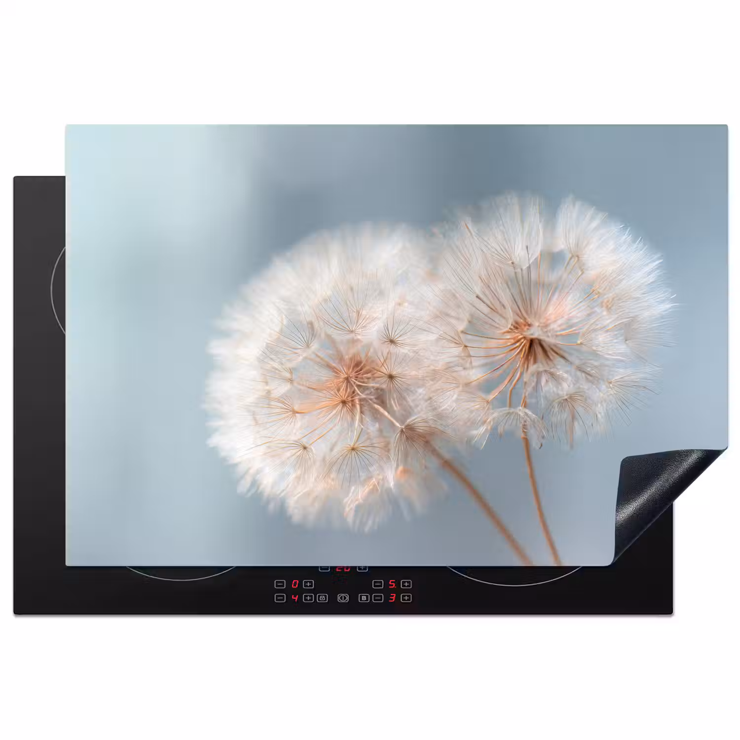 Paardenbloemen - Pluisjes - Wit Inductie beschermer vinyl 3mm klein -3d