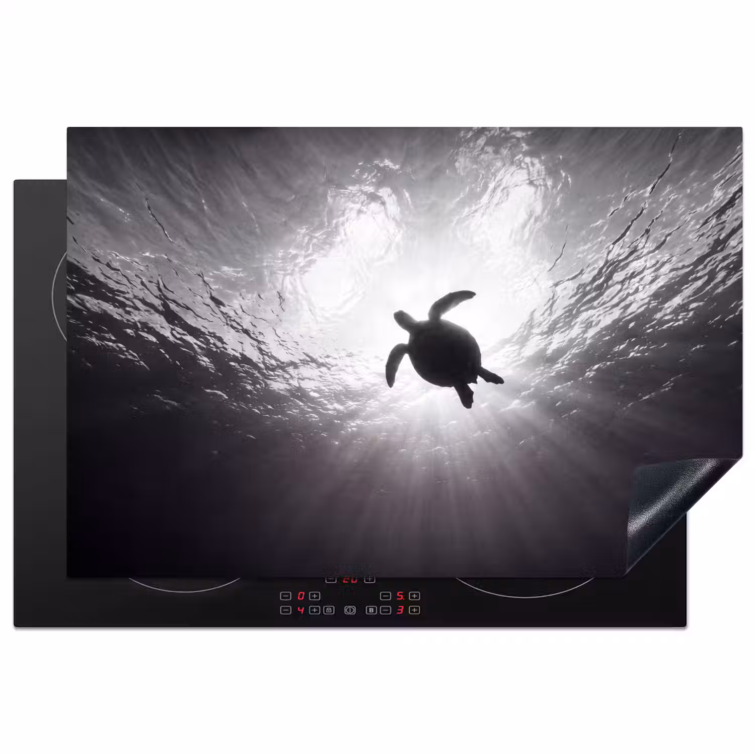 Schildpad - Onderwater - Lichtstralen - Oceaan - Zwart-wit Inductie beschermer vinyl 3mm klein -3d