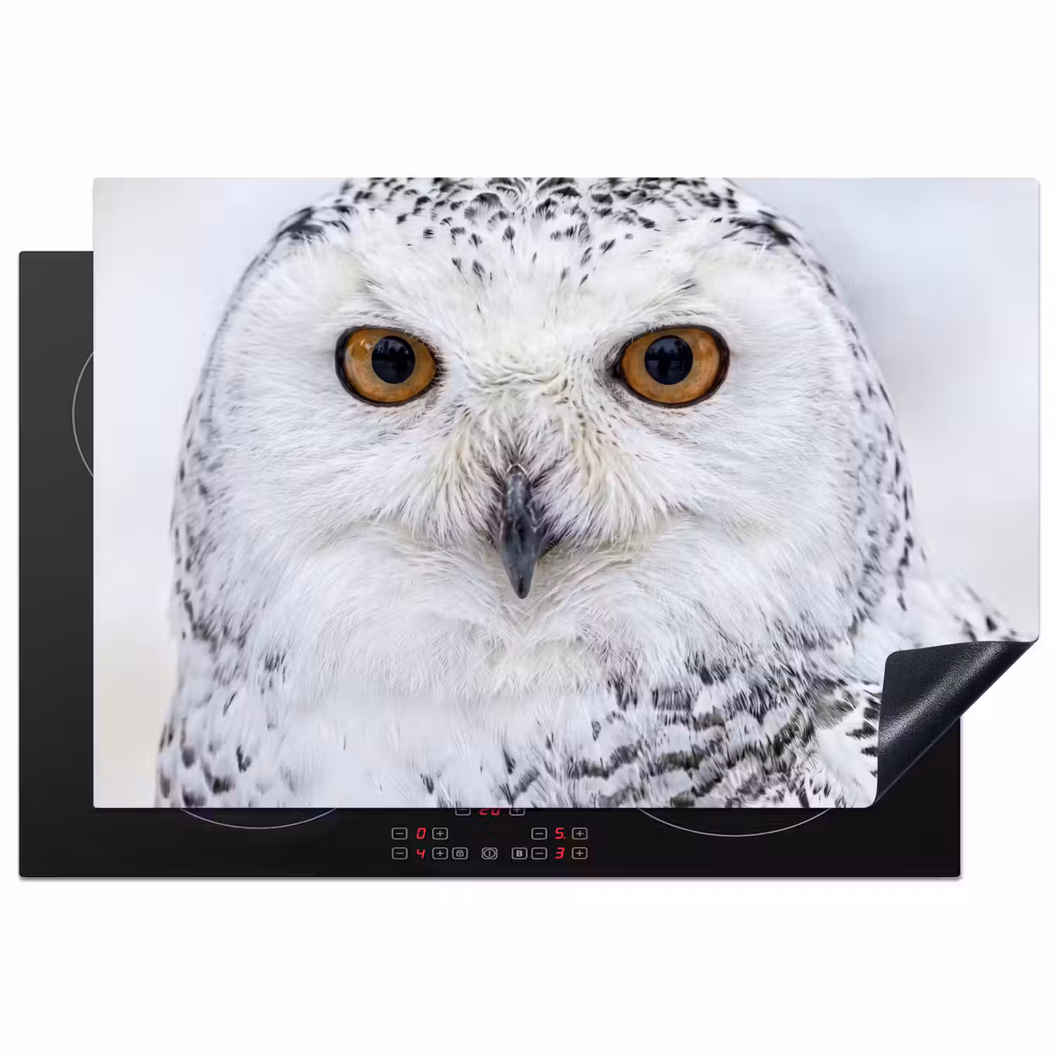 Sneeuwuil - Oog - Wildlife - Wit Inductie beschermer vinyl 3mm klein -3d