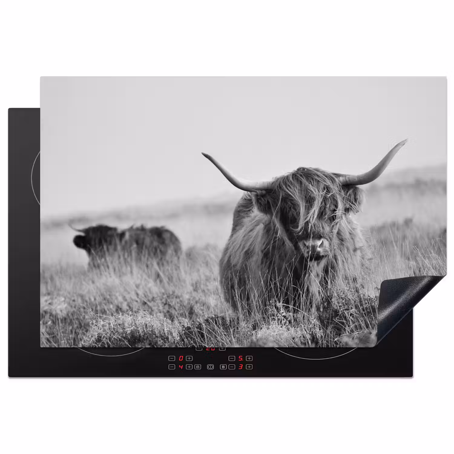 Schotse Hooglander in Monochroom Inductie beschermer vinyl 3mm klein -3d