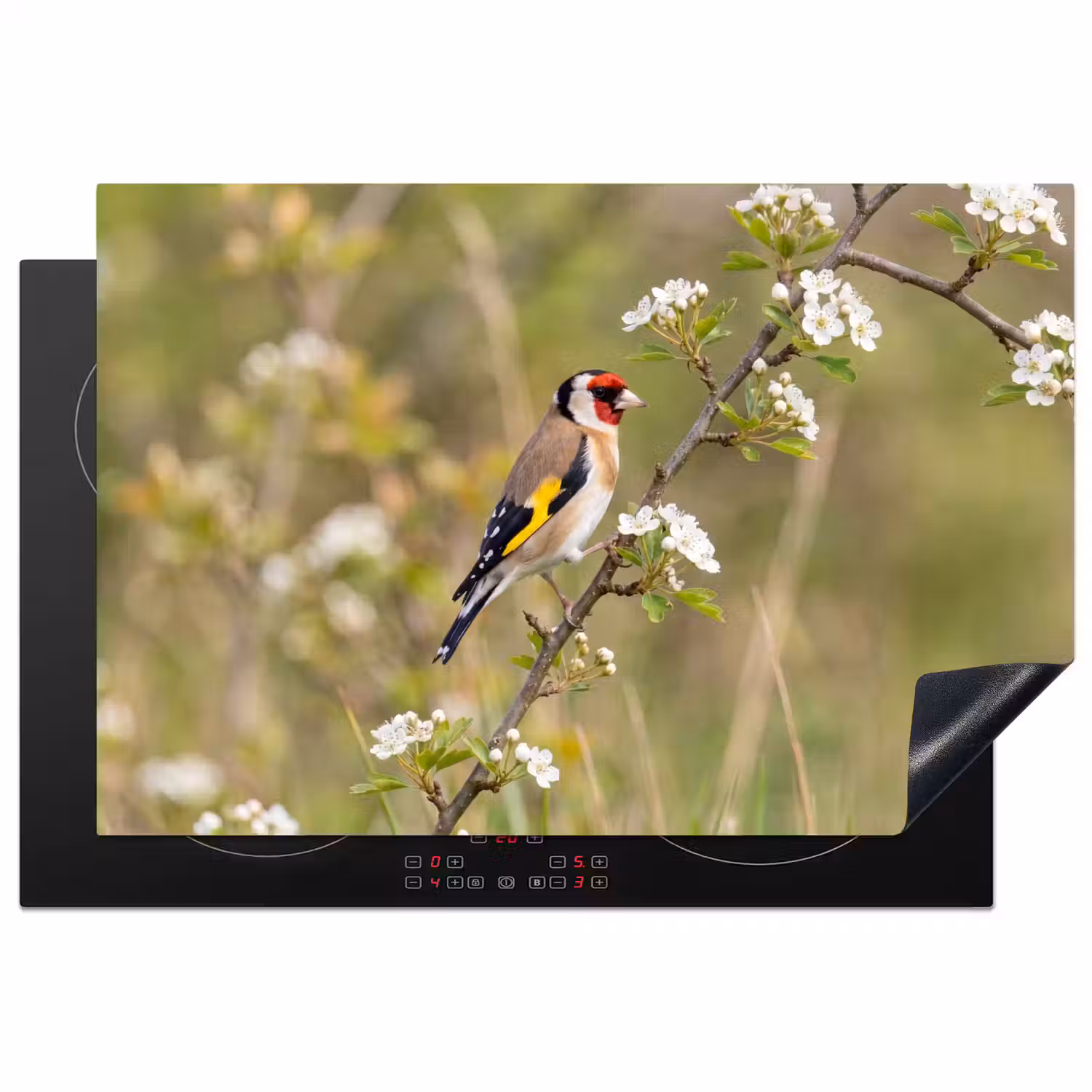 Putter - Bloesem - Lente - Natuur - Kleurrijk Inductie beschermer vinyl 3mm klein -3d