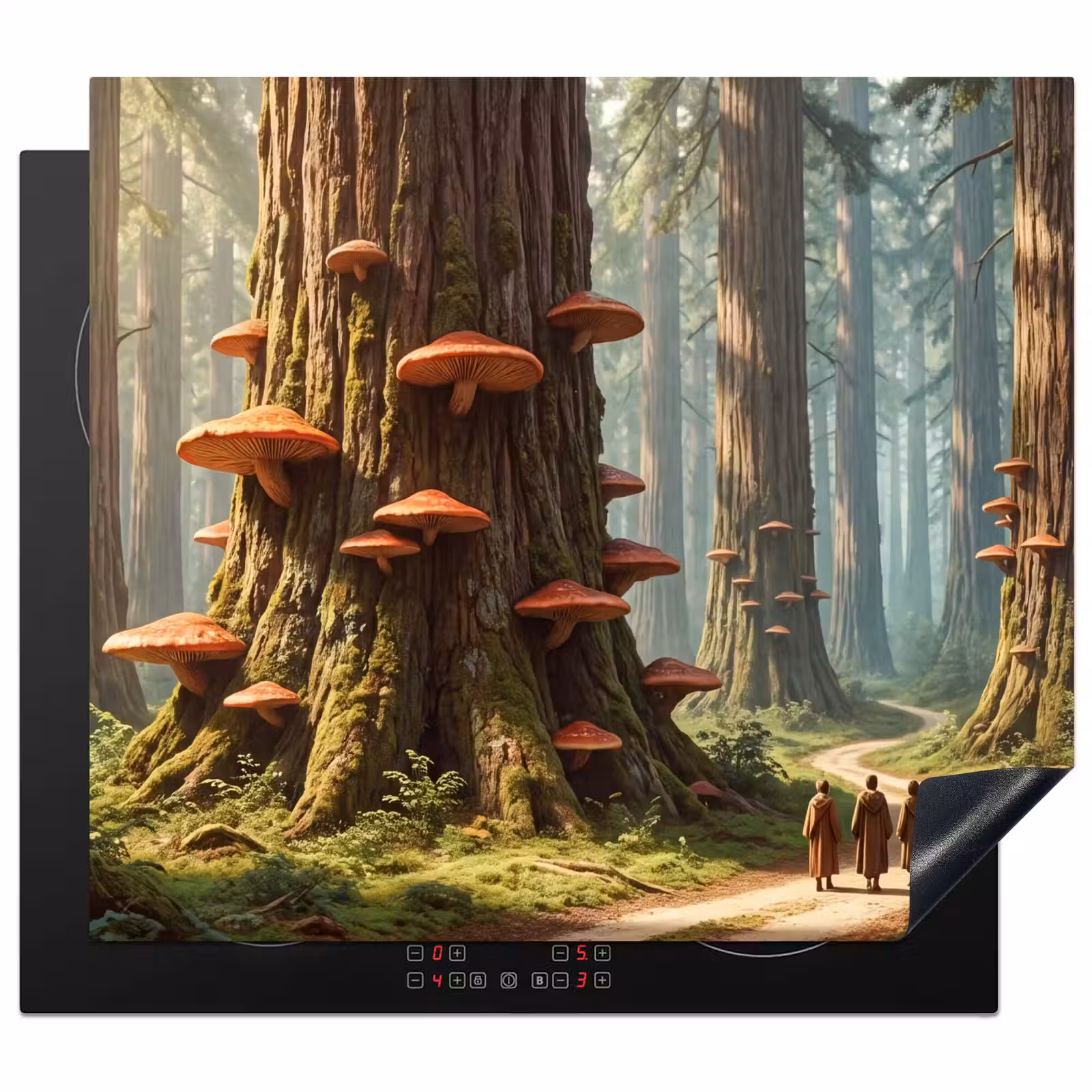 Herdabdeckplatte - Wald – Bäume – Natur - Bos - Bomen - Natuur Inductie beschermer vinyl 3mm middel