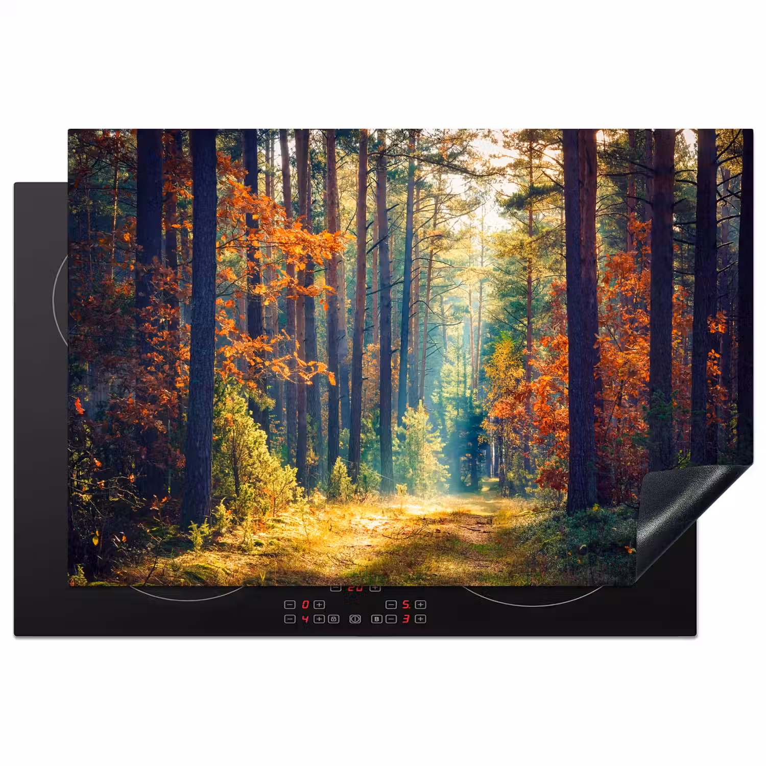 Bos - Zon - Natuur - Herfst Inductie beschermer vinyl 3mm klein -3d
