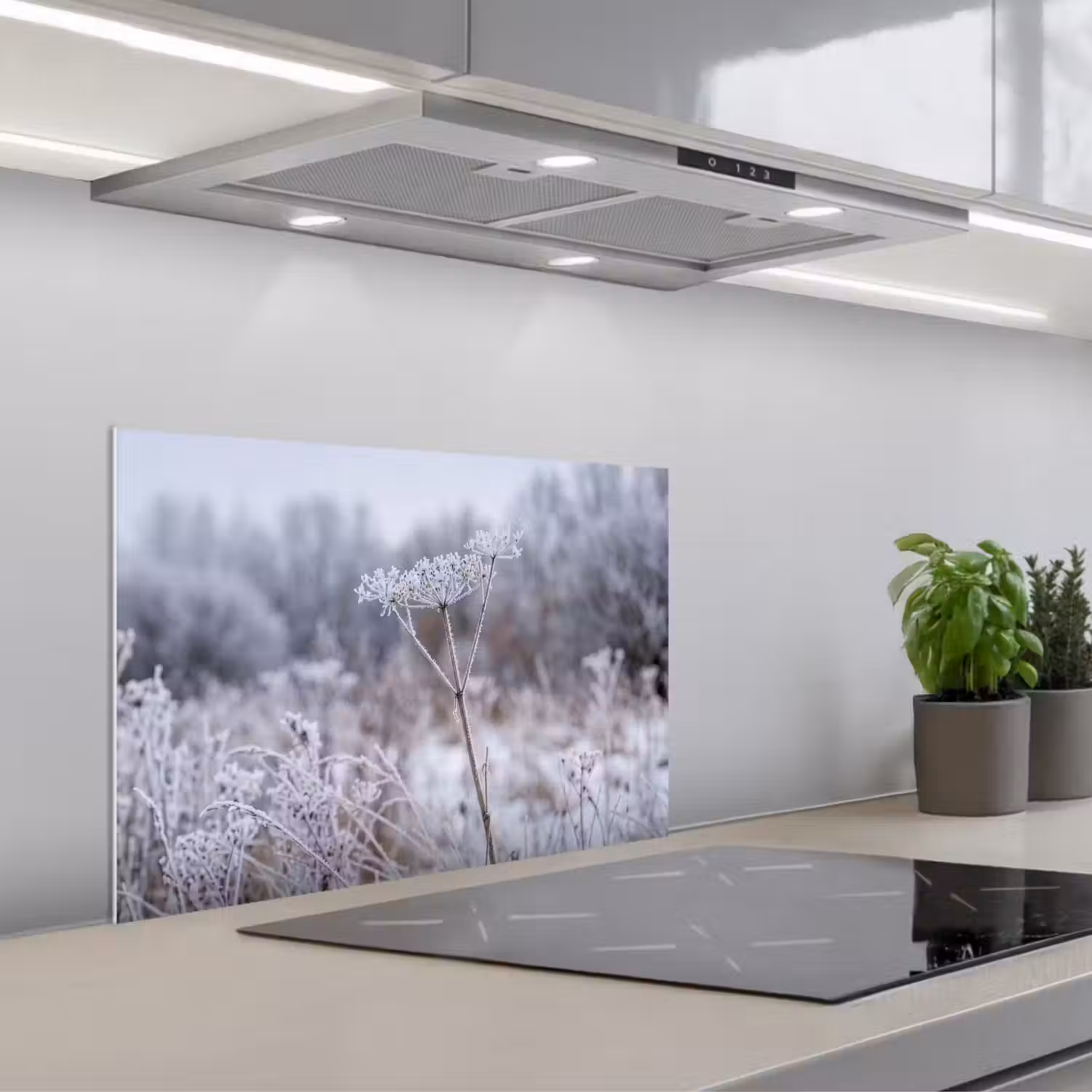 Schermbloem - Rijp - Kristallen - Winter - Delicaat keuken achterwand spatscherm klein -3d_schuin
