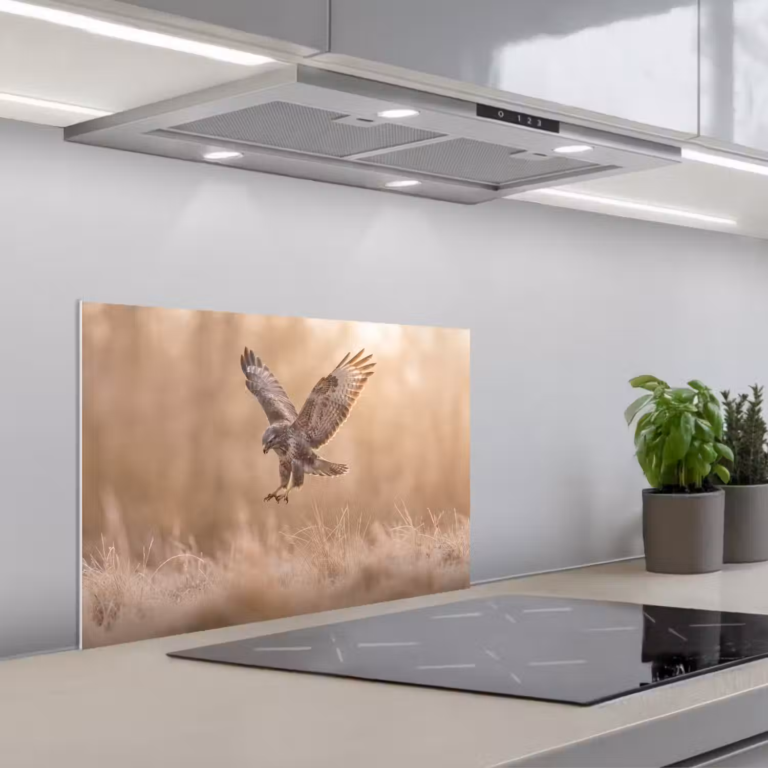Buizerd - Roofvogel - Natuur - Bruin keuken achterwand spatscherm klein -3d_schuin