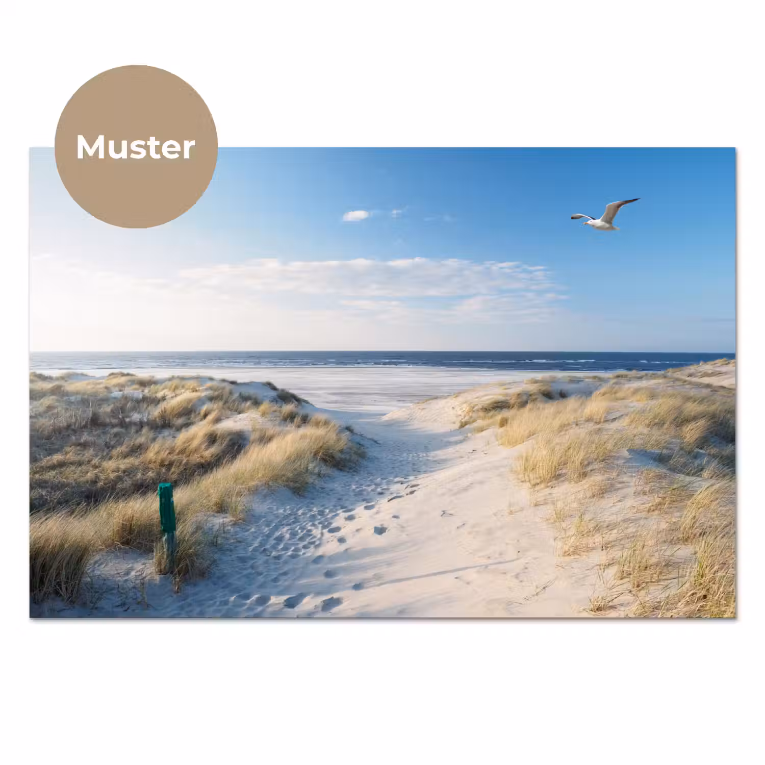 Duin - Meeuw - Strand - Zee - Zon keuken achterwand sample klein -3d_DE