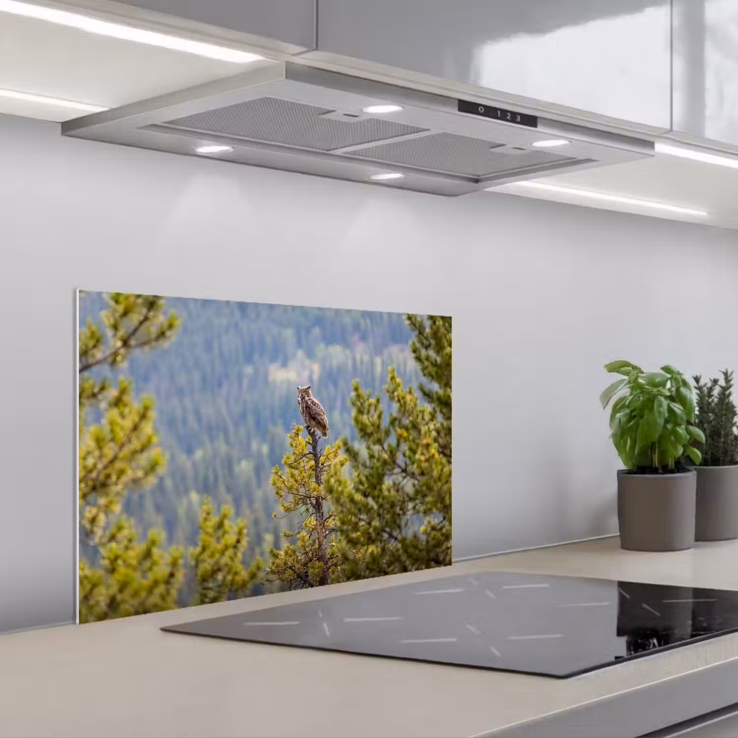 Uil - Oehoe - Bomen - Natuur keuken achterwand spatscherm klein -3d_schuin