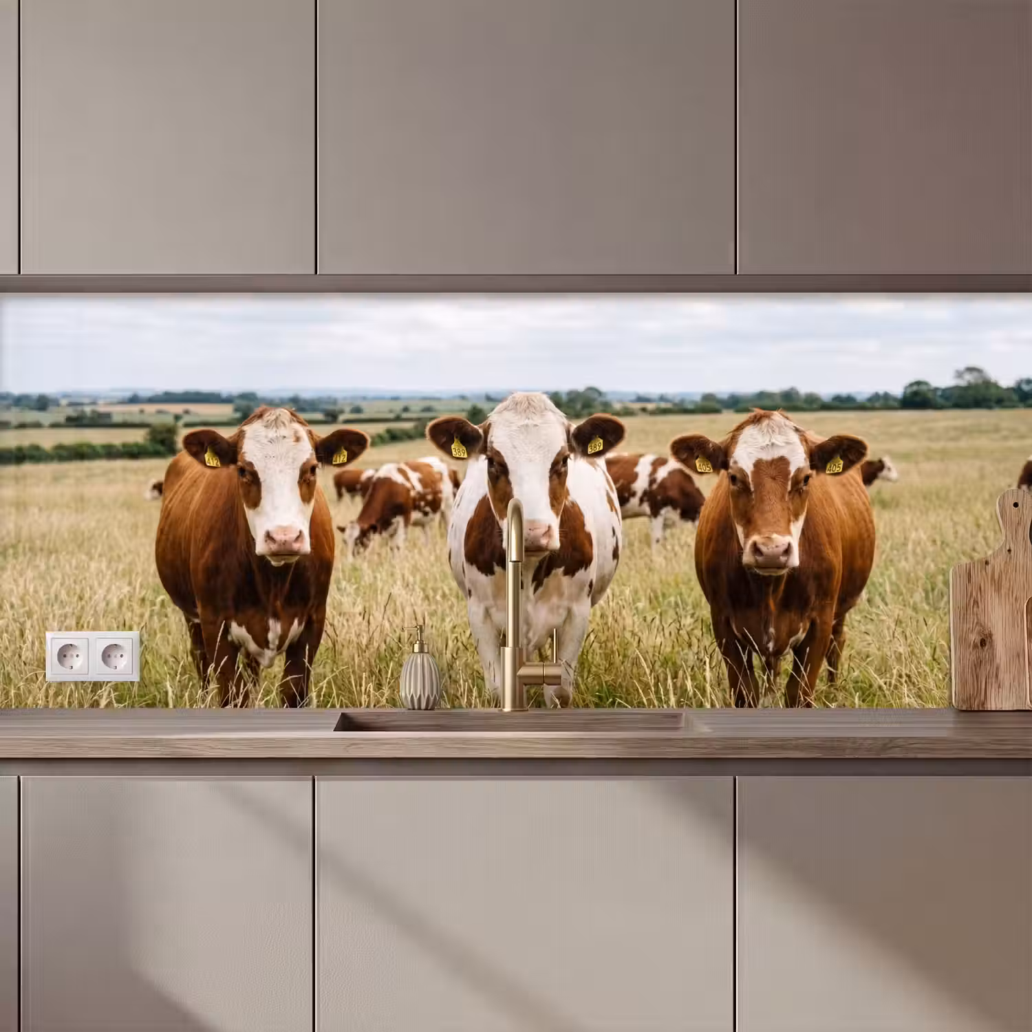 Koeien - Portret - Weide - Boerderij - Nieuwsgierig keuken achterwand 2 middel zz_3dshopping