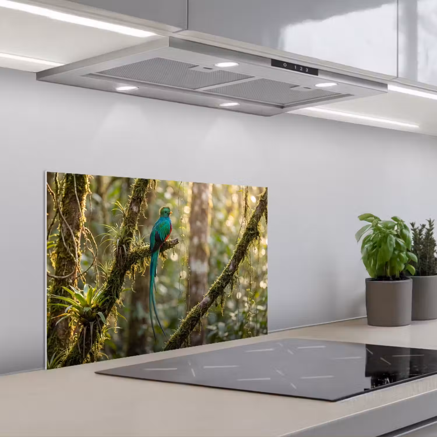 Quetzal - Jungle - Natuur - Groen keuken achterwand spatscherm klein -3d_schuin