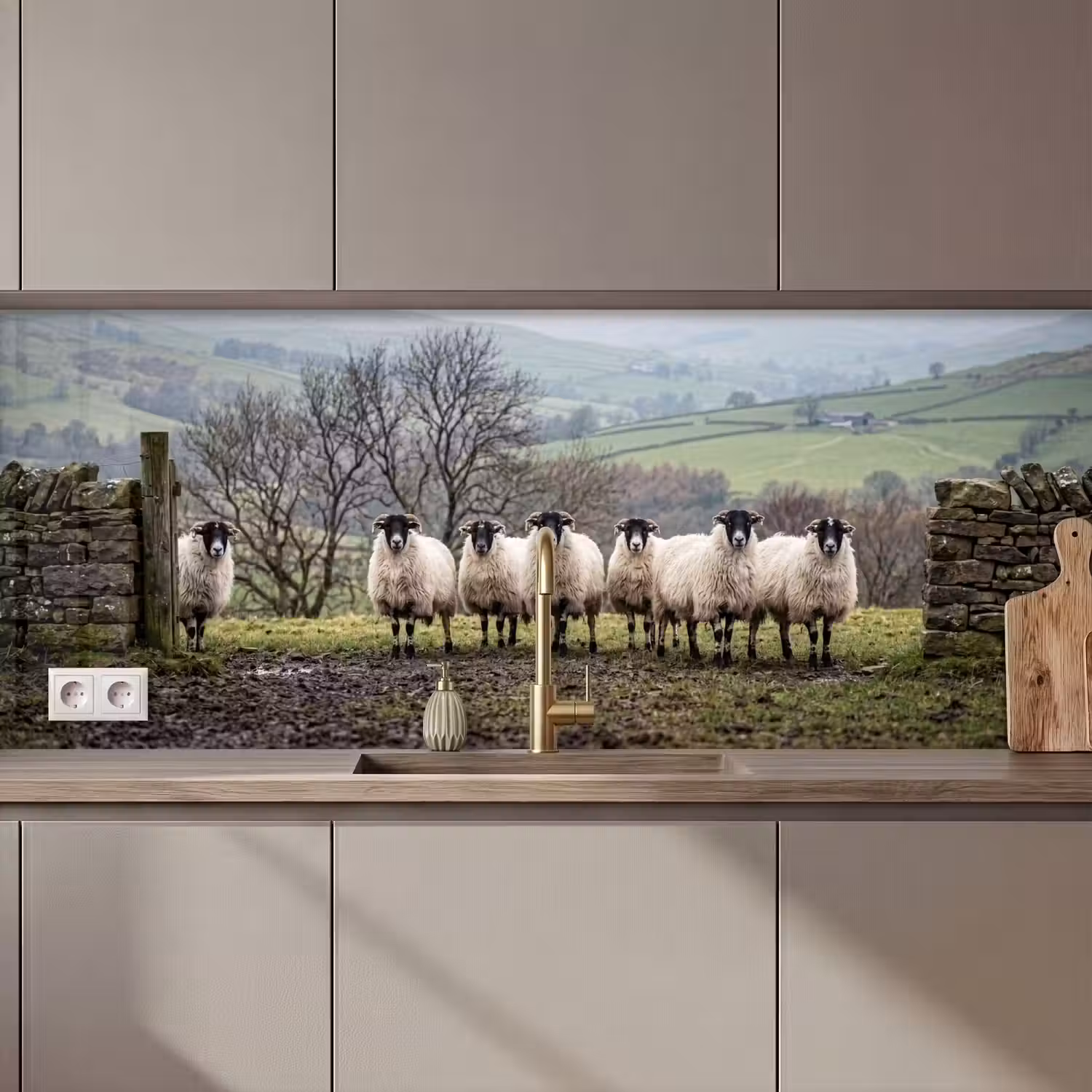 Schapen - Rij - Weide - Dieren - Platteland keuken achterwand 2 middel zz_3dshopping