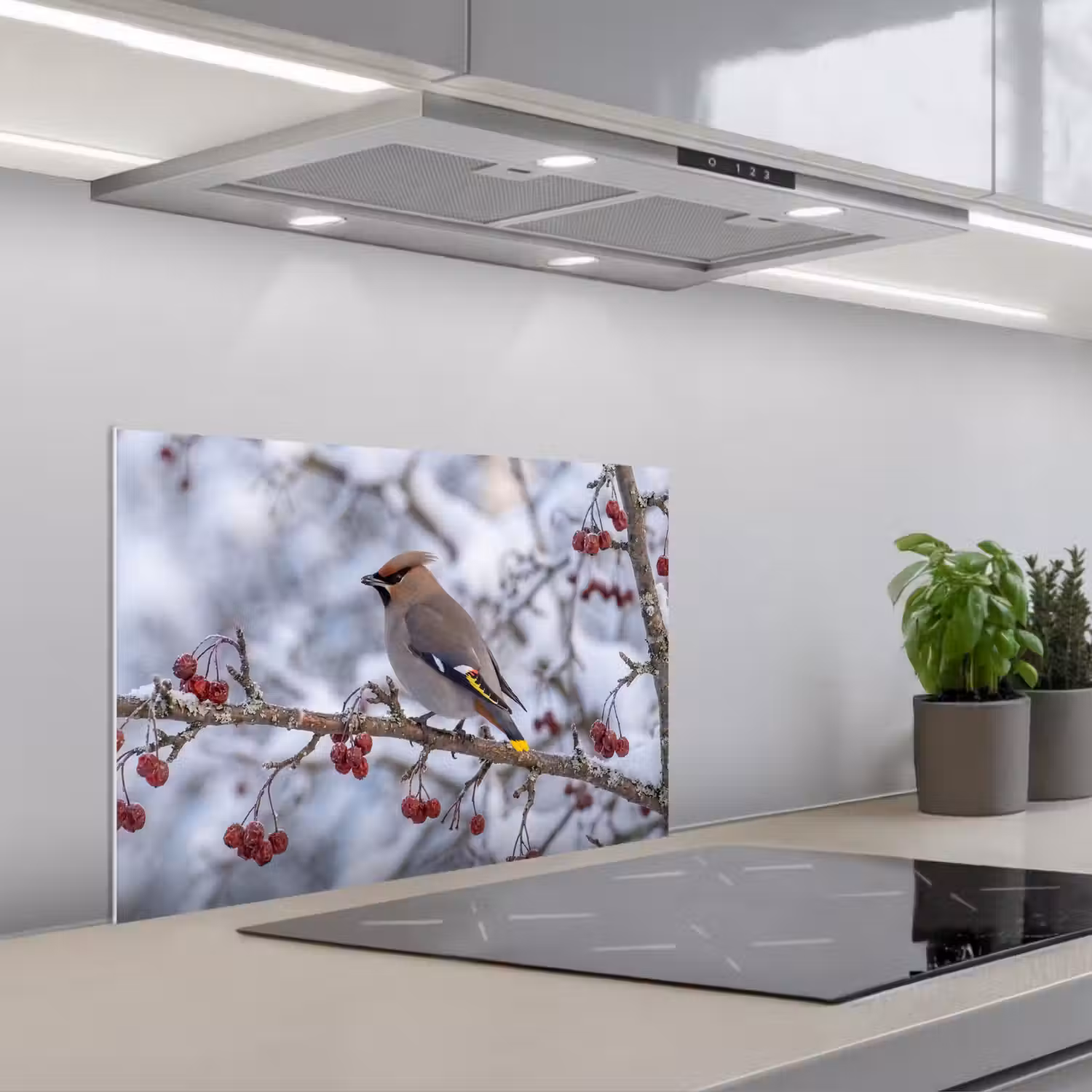 Pestvogel - Bessen - Winter - Natuur keuken achterwand spatscherm klein -3d_schuin