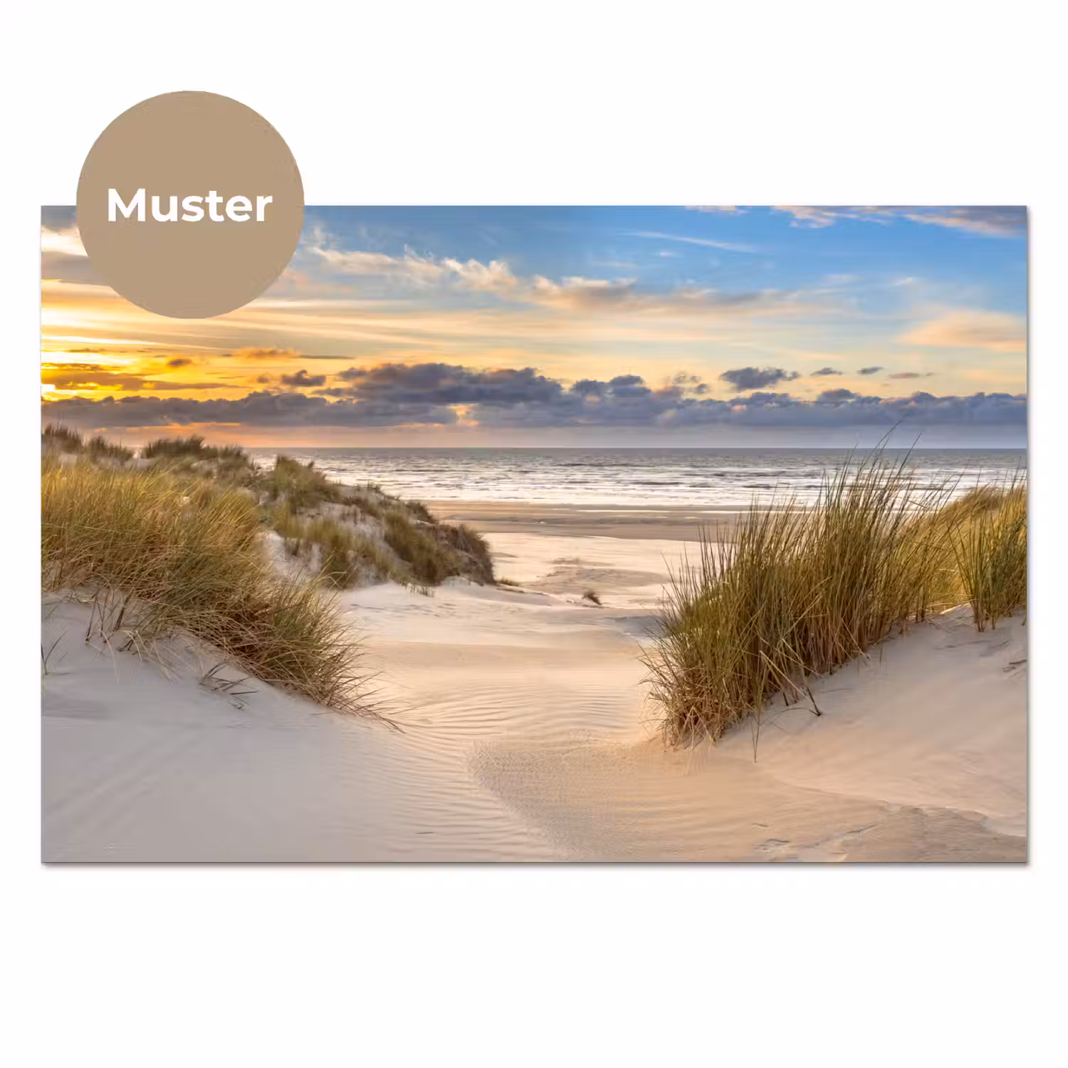 Strand - Duin - Gras - Zonsondergang - Zee keuken achterwand sample klein -3d_DE